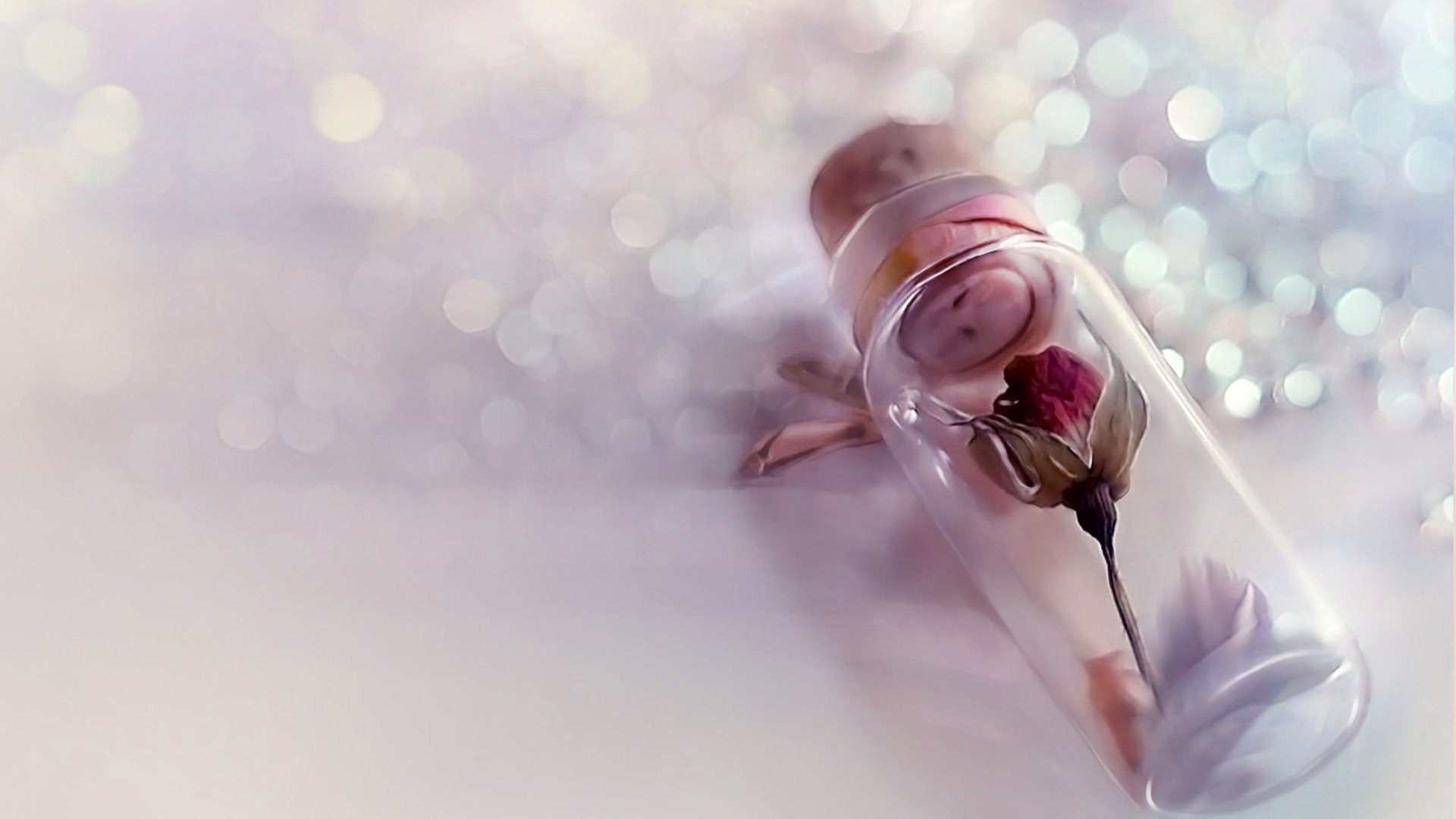 爱情美图,唯美温馨