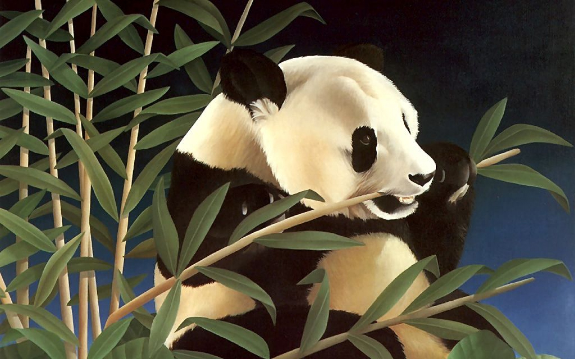 卖萌图,熊猫,儿童桌面专用