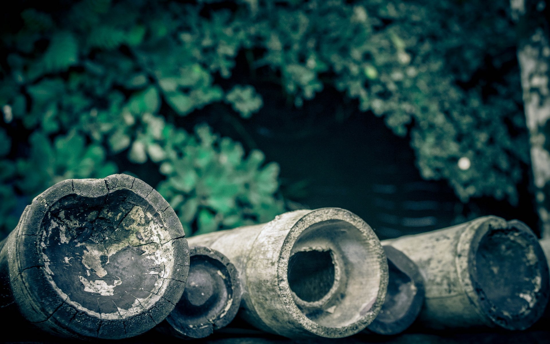 风景,炎炎夏日,儿童桌面专用