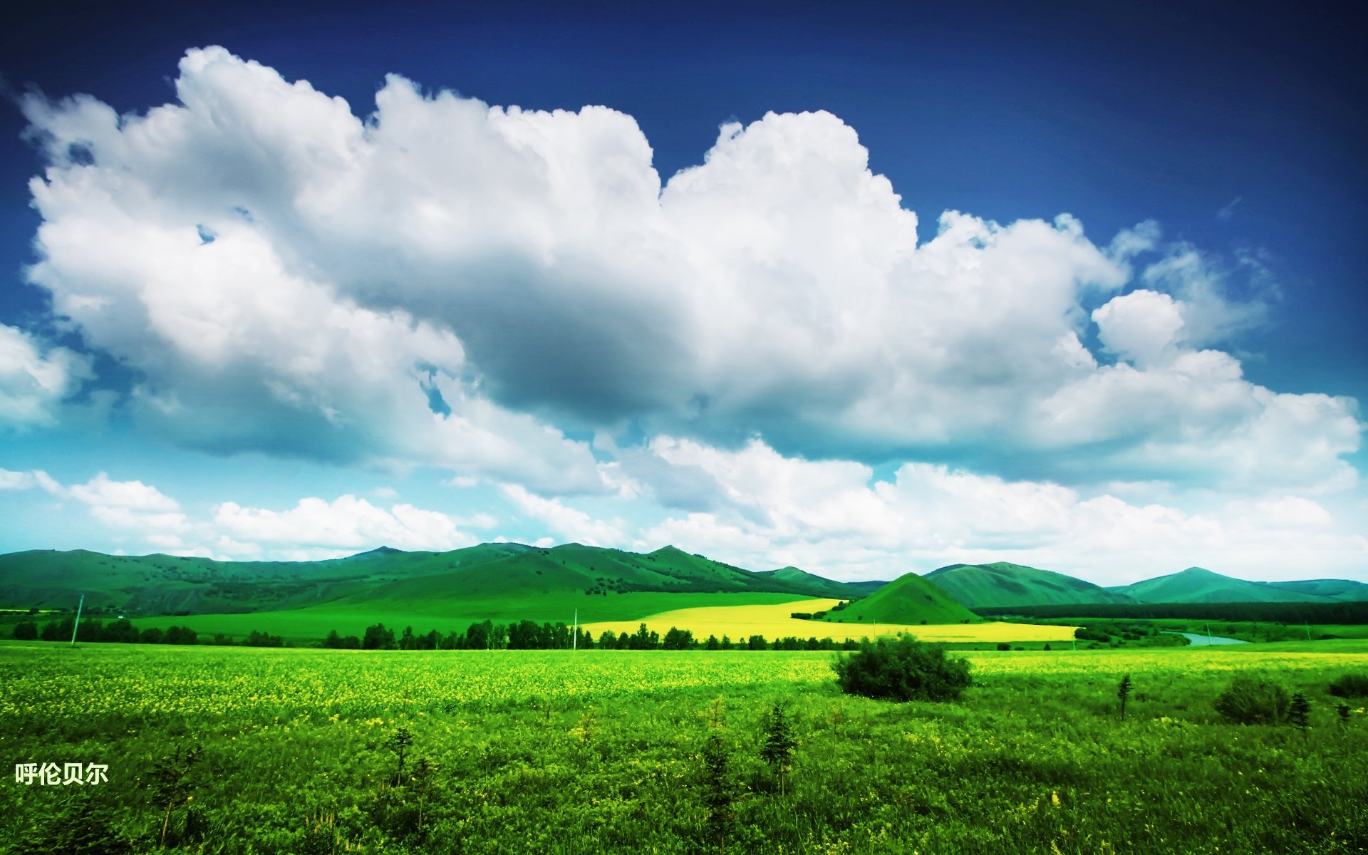 风景,途牛旅游,呼伦贝尔,摄影,旅游胜地,儿童桌面专用