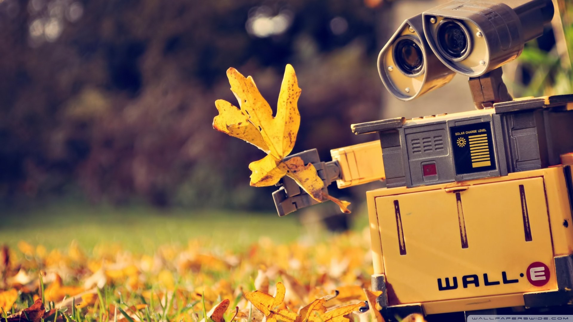 小清新,静物写真,儿童桌面专用