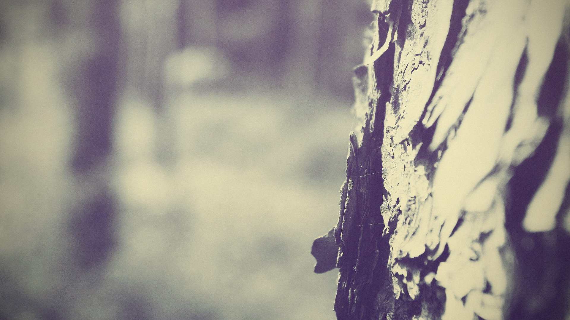 小清新,温馨一刻,儿童桌面专用