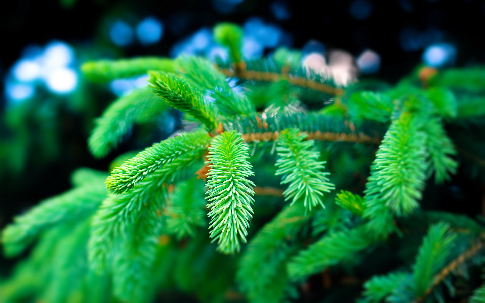 小清新,静物写真,儿童桌面专用