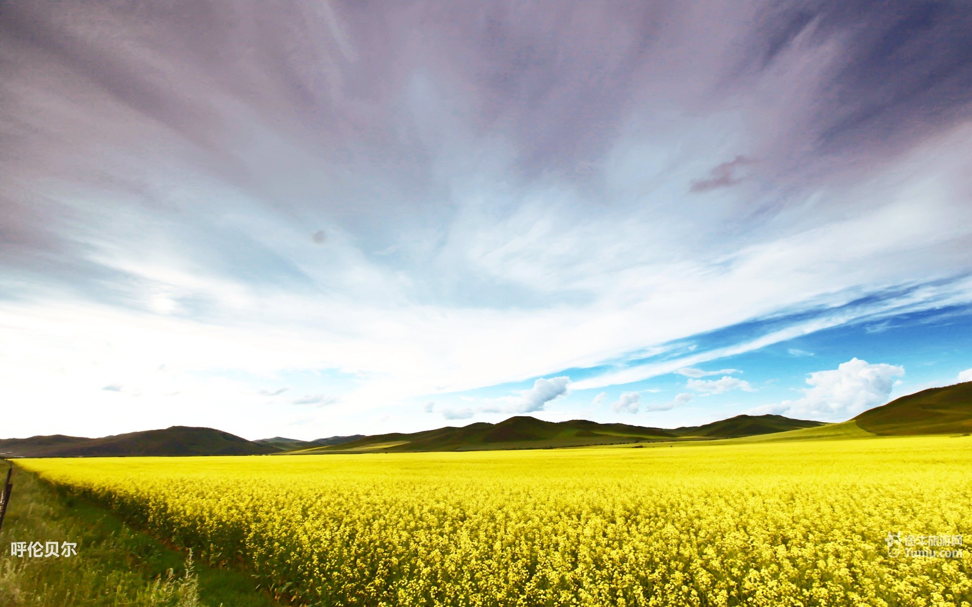 风景,途牛旅游,呼伦贝尔,摄影,旅游胜地,儿童桌面专用