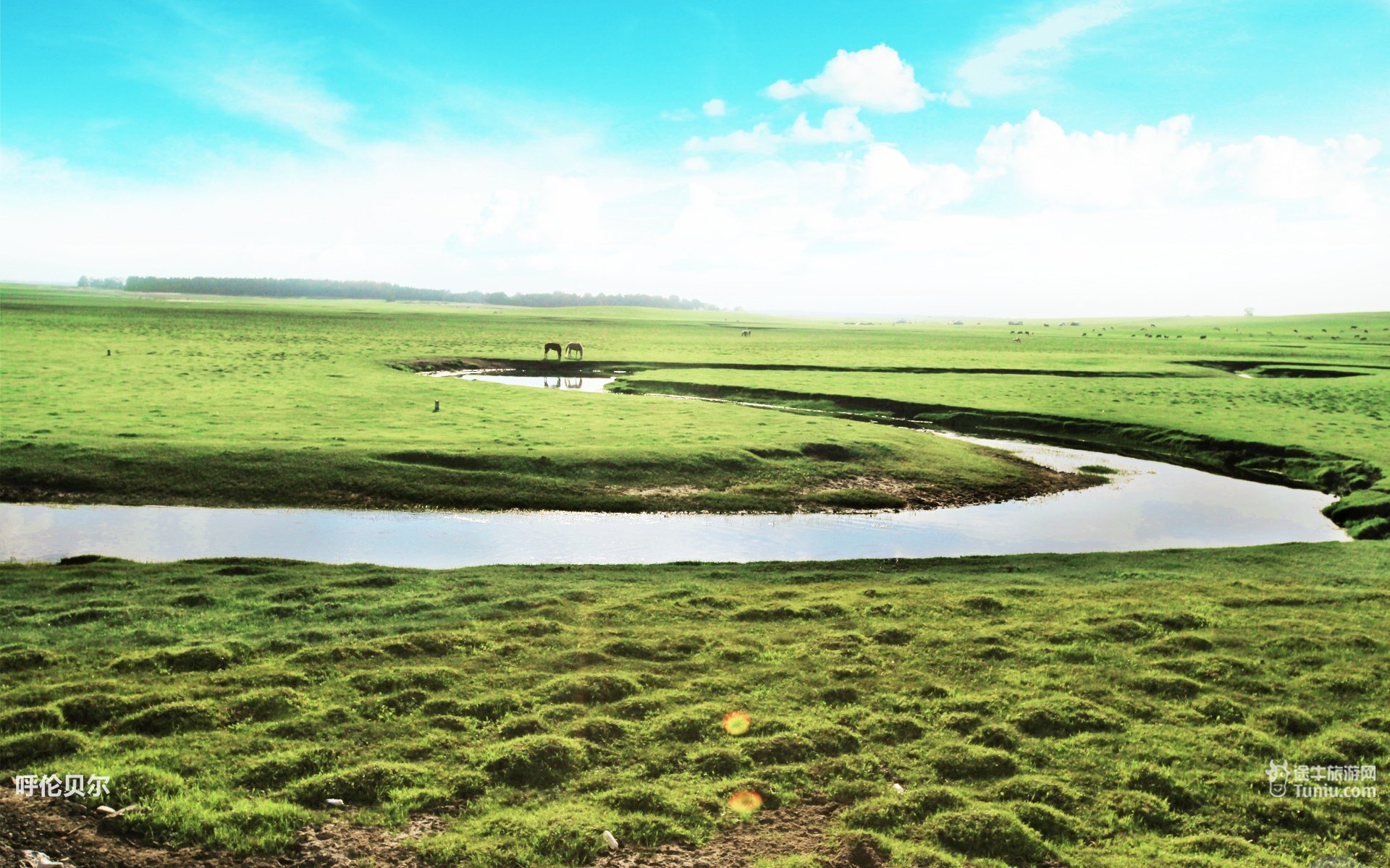 风景,途牛旅游,呼伦贝尔,摄影,旅游胜地,儿童桌面专用