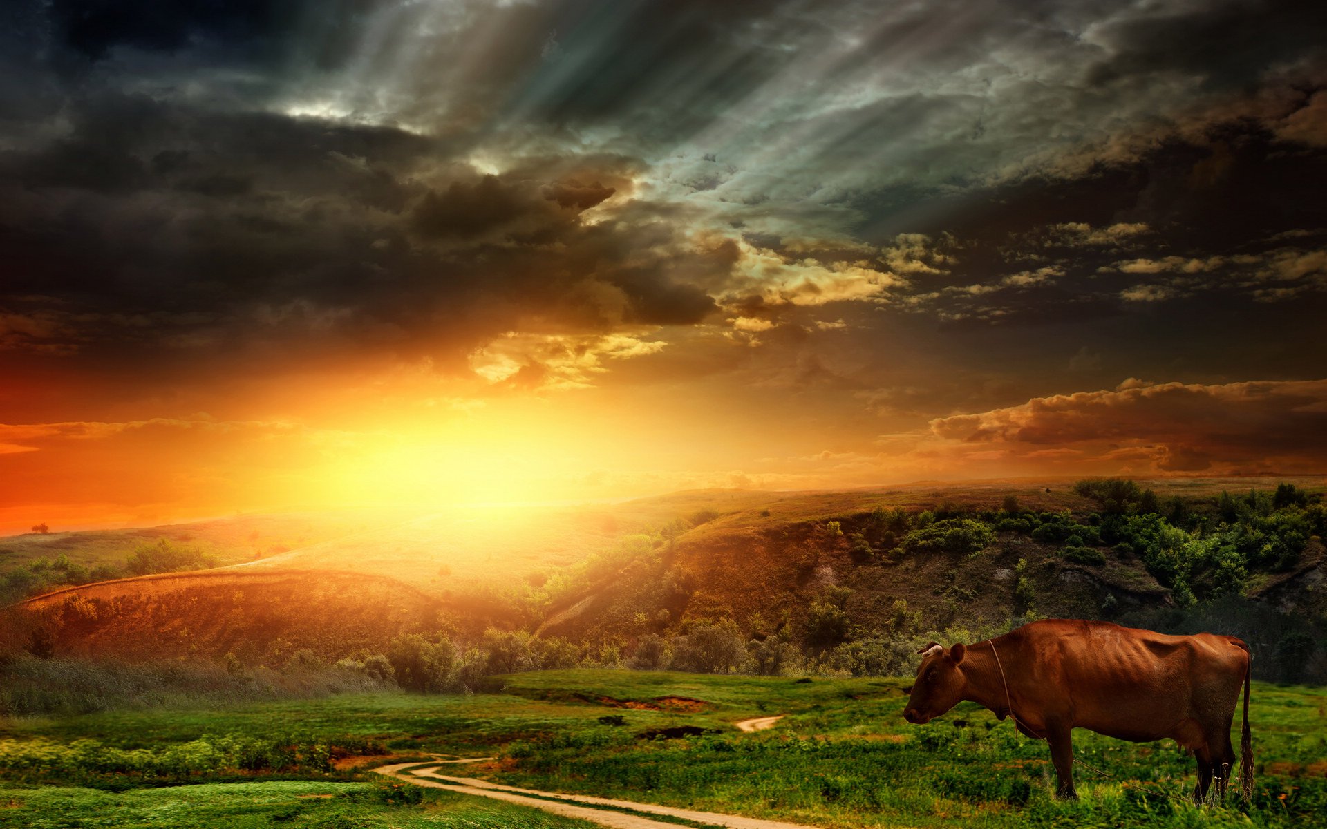 风景,落日余晖,儿童桌面专用