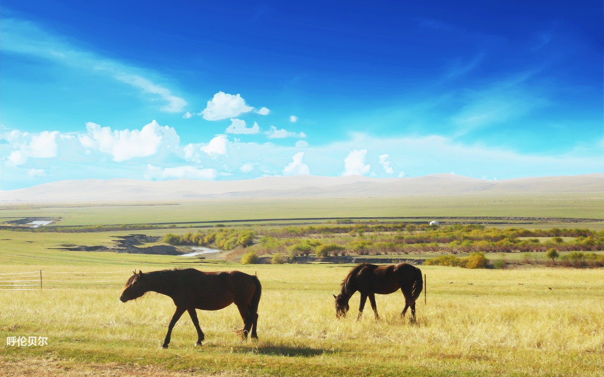风景,途牛旅游,呼伦贝尔,摄影,旅游胜地,儿童桌面专用