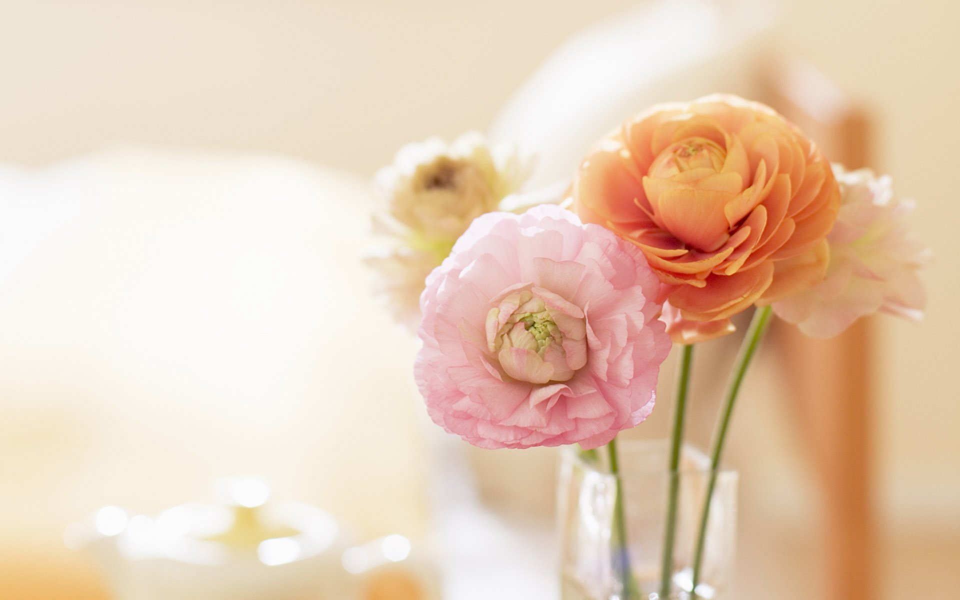 小清新,静物写真,儿童桌面专用