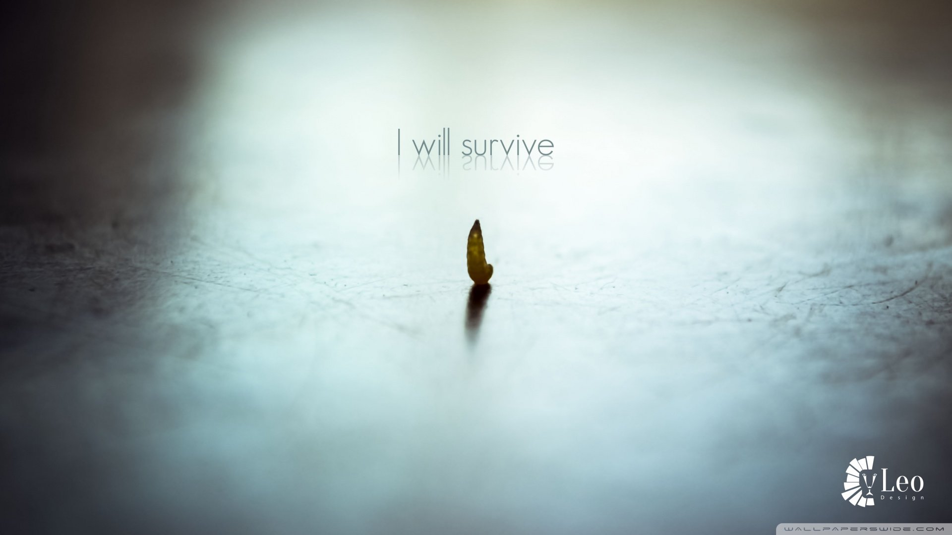 小清新,温馨一刻