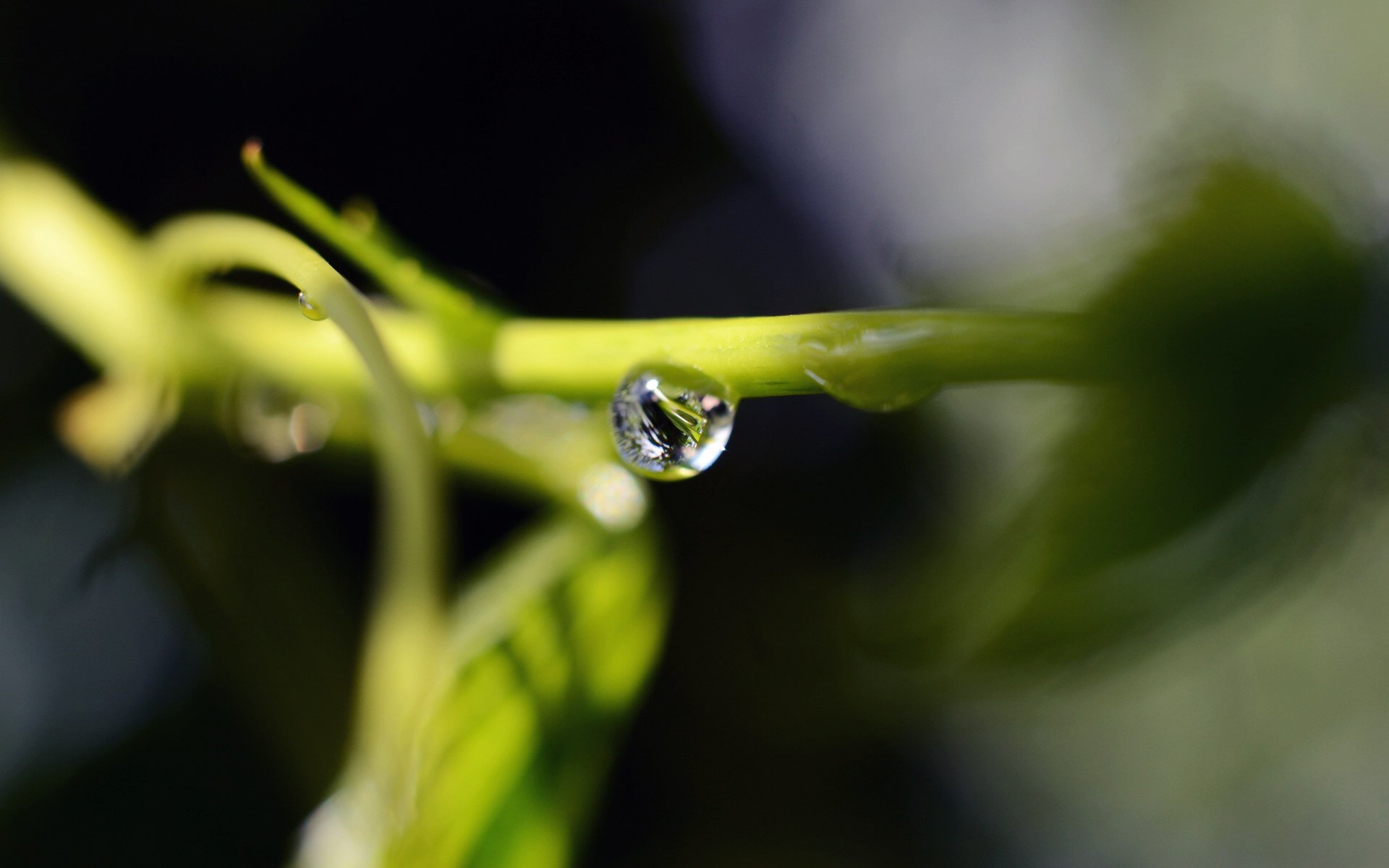 小清新,护眼壁纸,儿童桌面专用