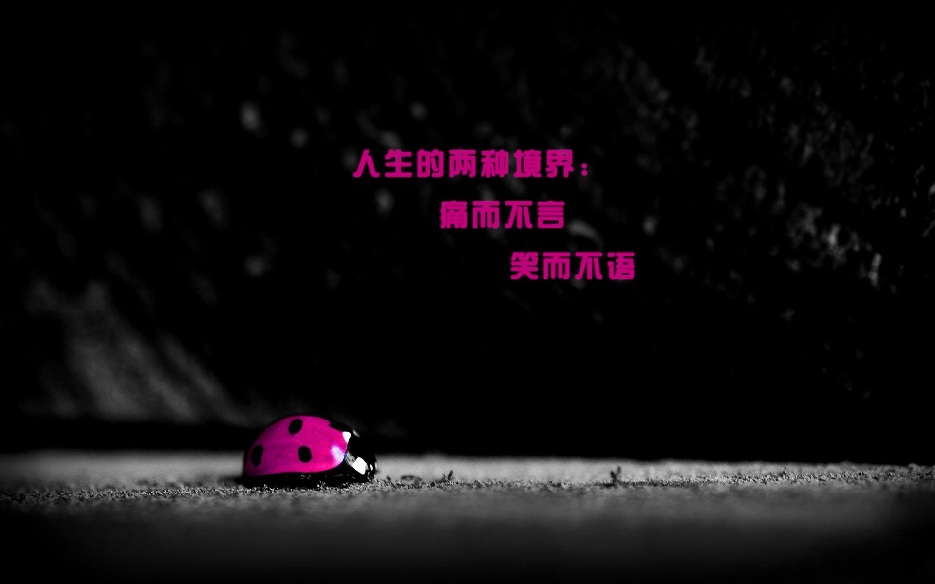 爱情,七夕,爱情箴言