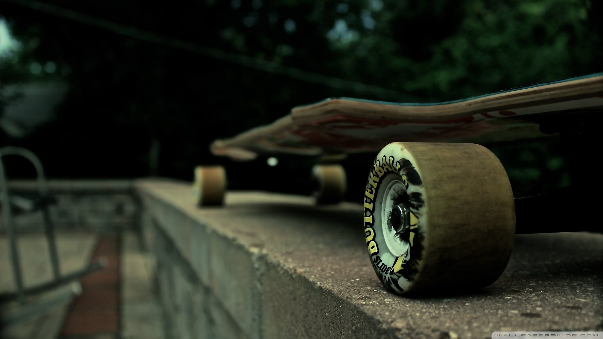 小清新,静物写真