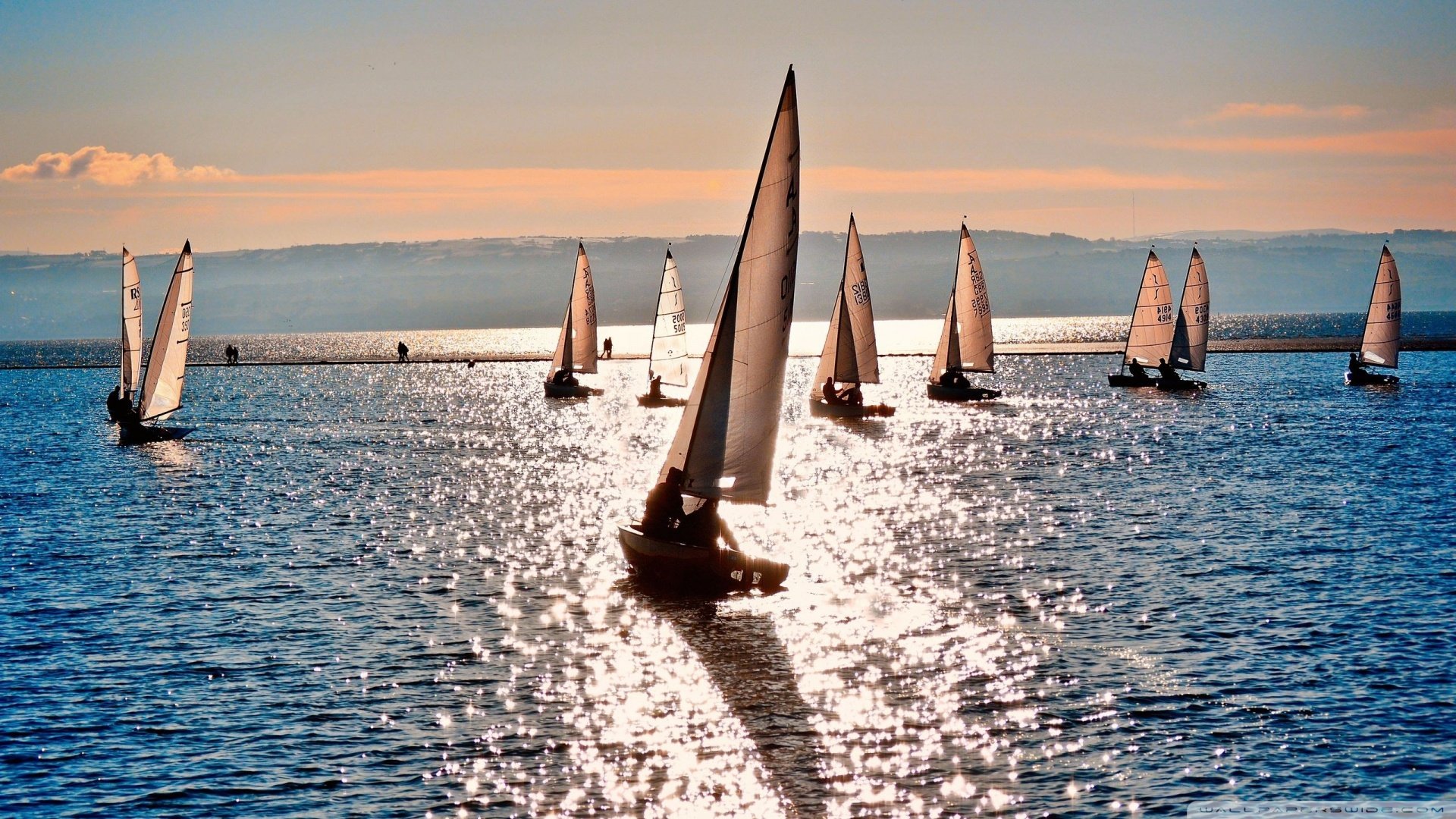 风景,海洋天堂,儿童桌面专用