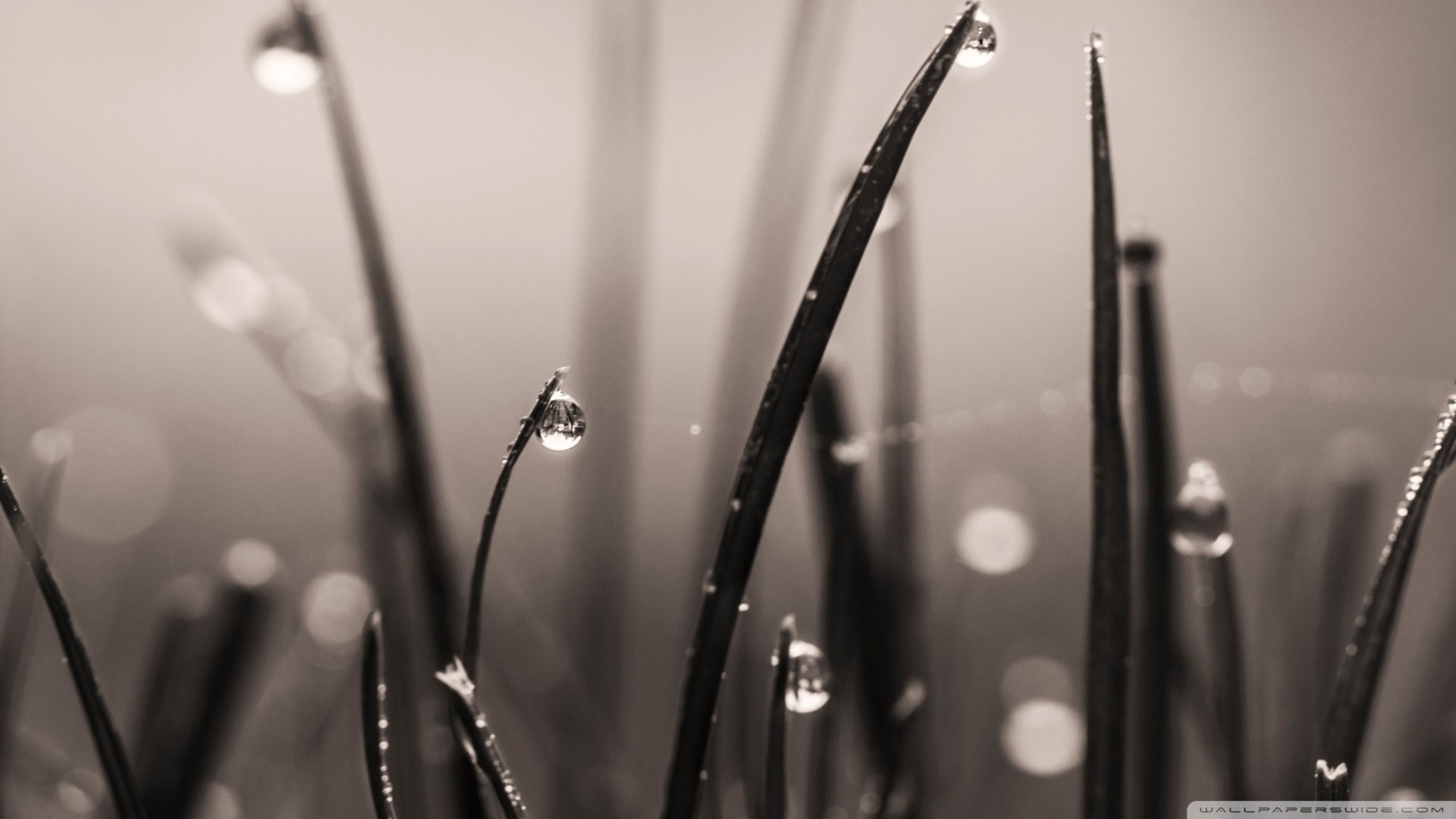 小清新,清新淡雅,儿童桌面专用