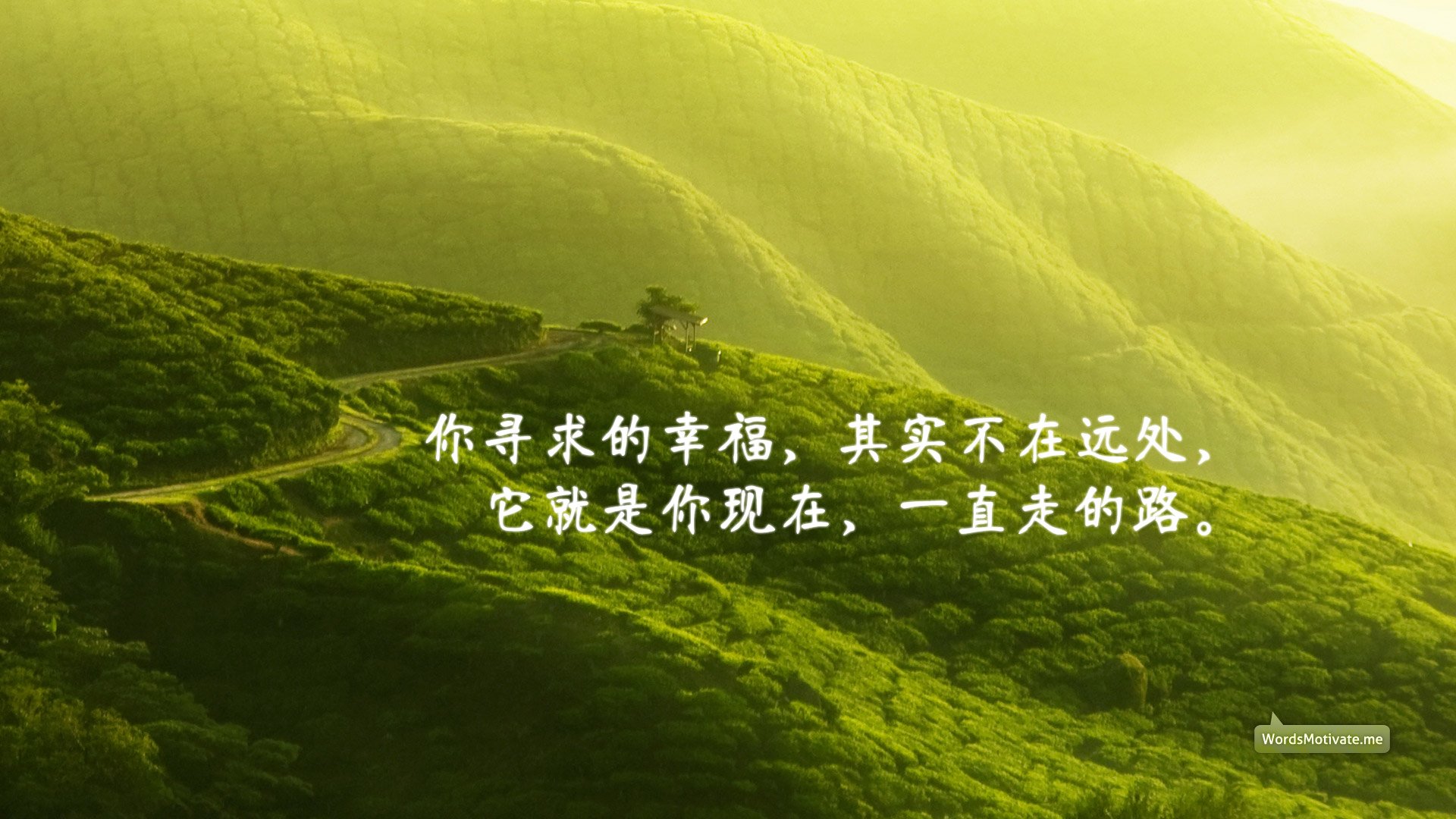 创意,励志,正能量,儿童桌面专用