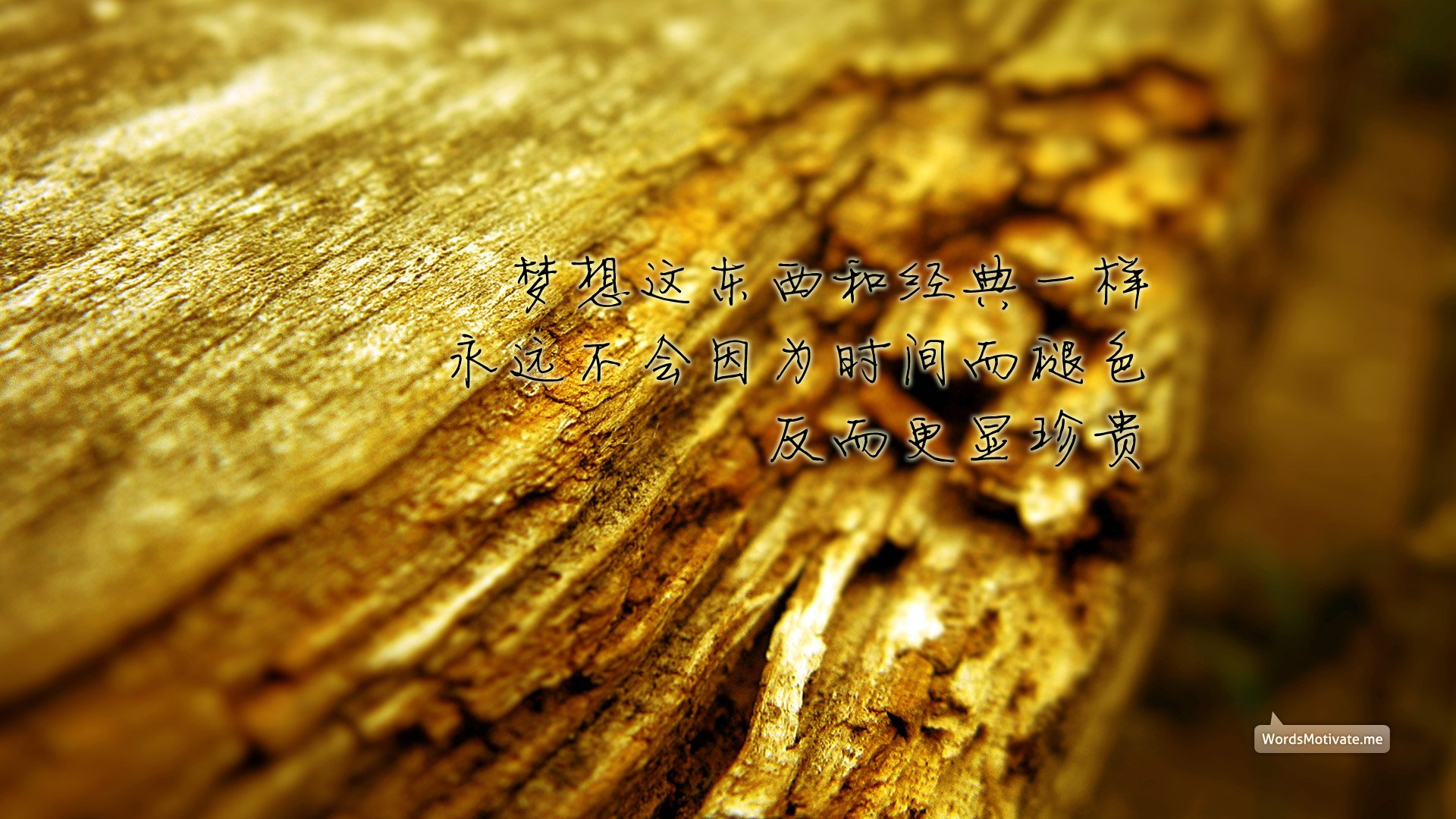 创意,励志,正能量,儿童桌面专用