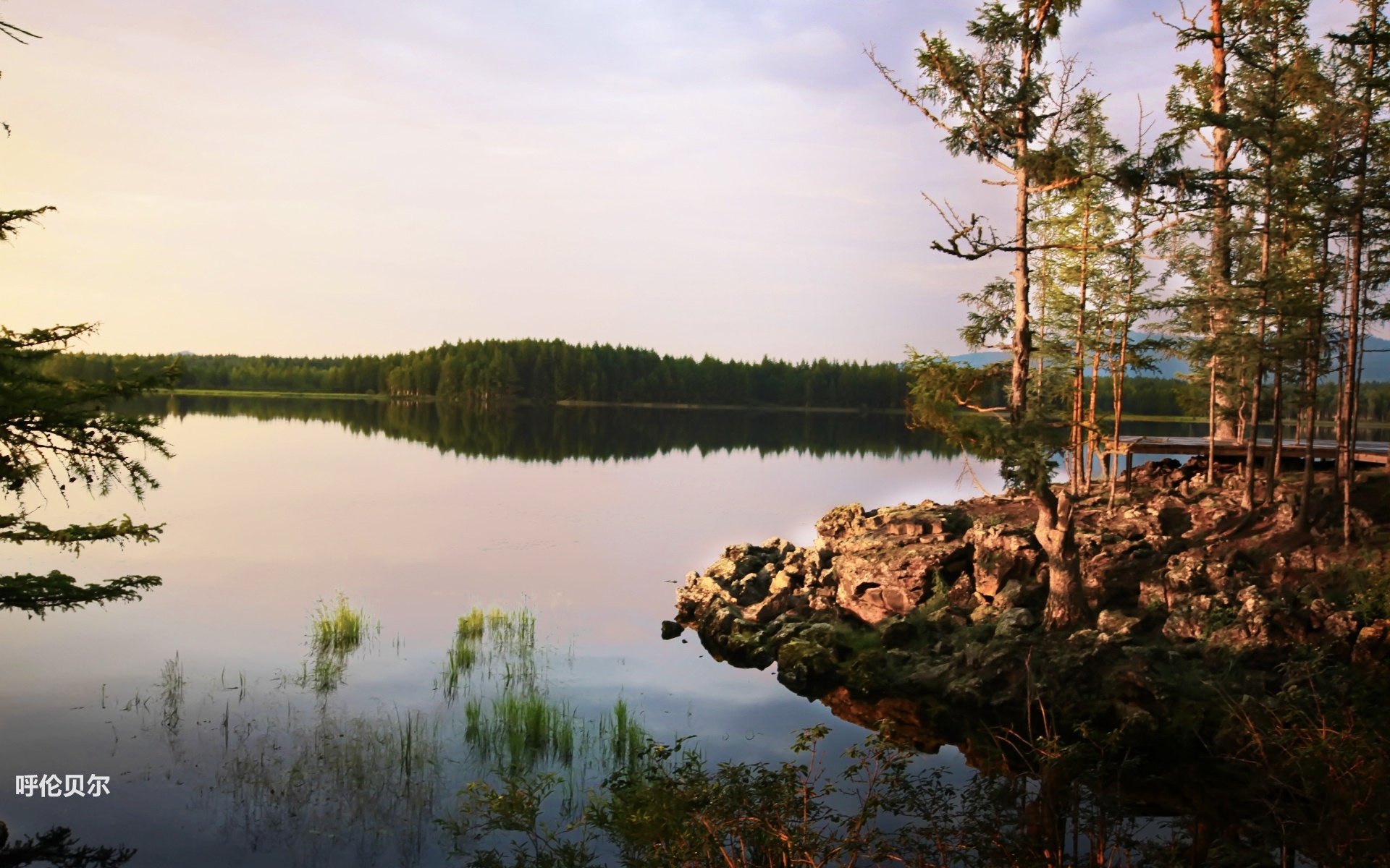 风景,途牛旅游,呼伦贝尔,摄影,旅游胜地,儿童桌面专用