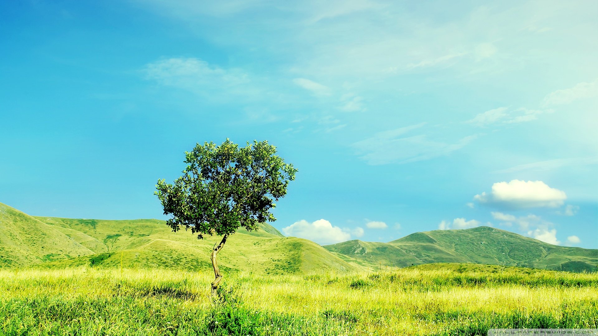 风景,蓝天白云,儿童桌面专用