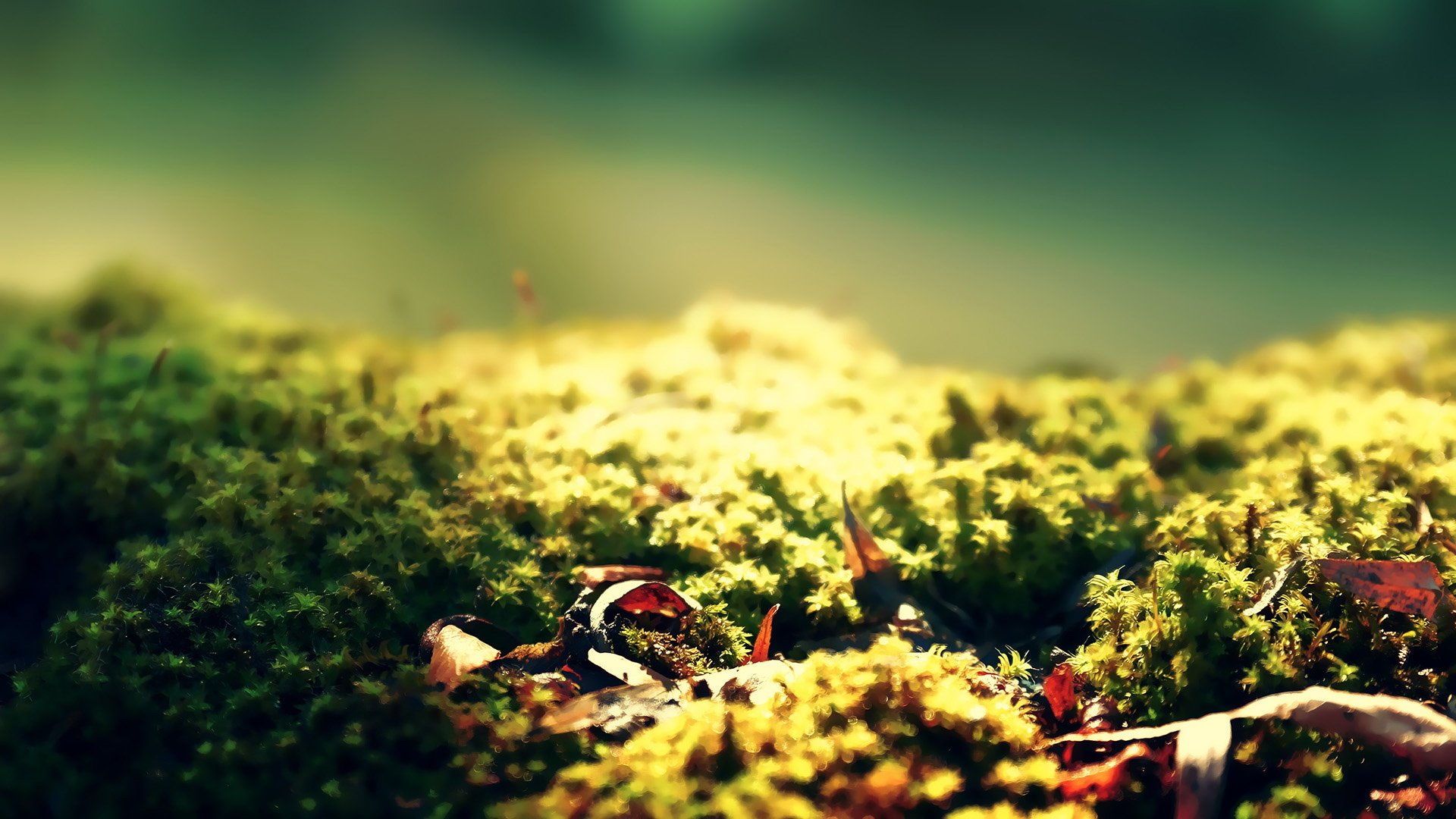 小清新,温馨一刻,儿童桌面专用