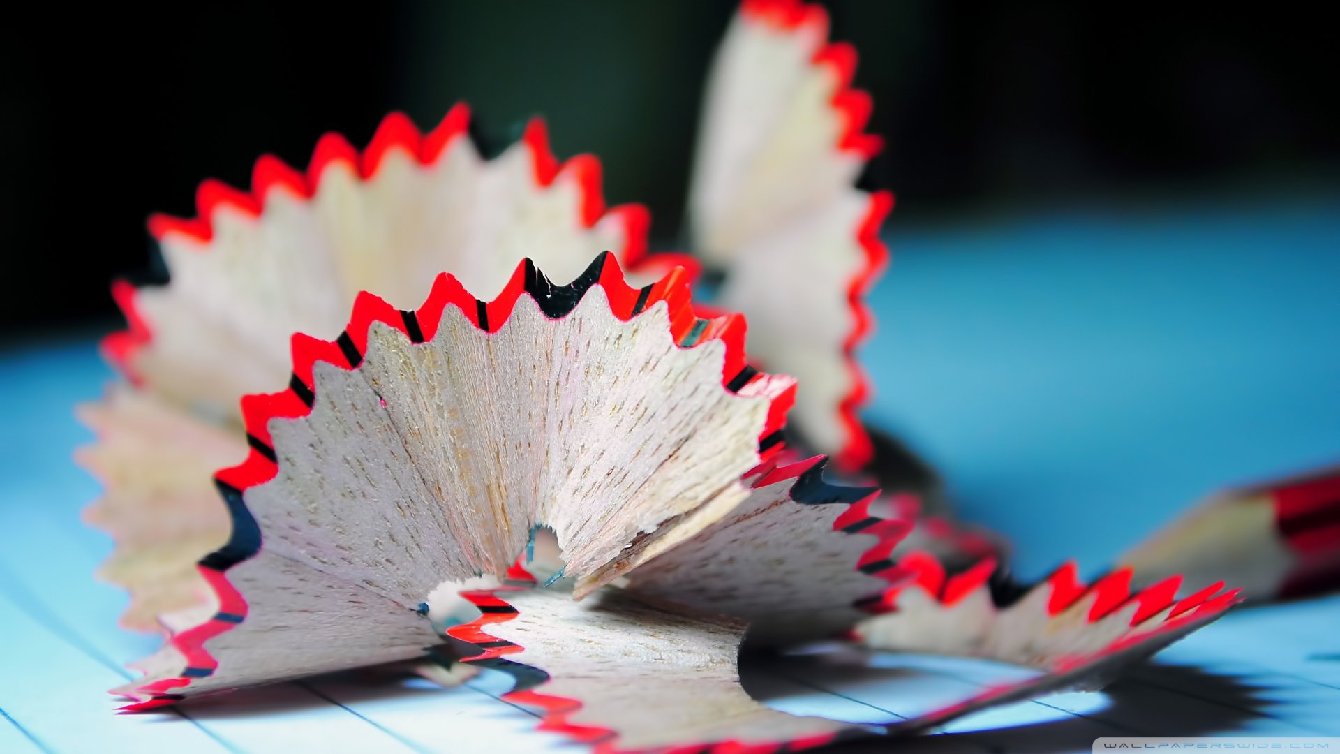 小清新,静物写真,儿童桌面专用