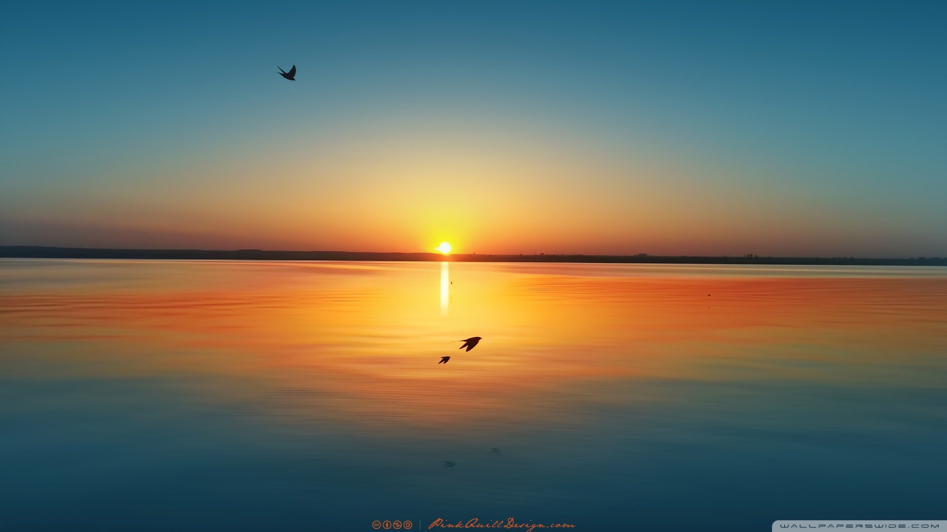 风景,落日余晖,儿童桌面专用