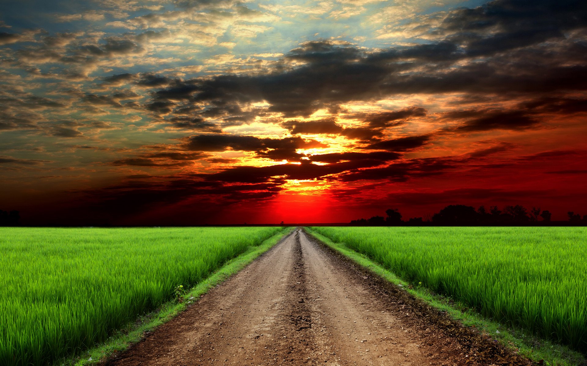 风景,落日余晖,儿童桌面专用