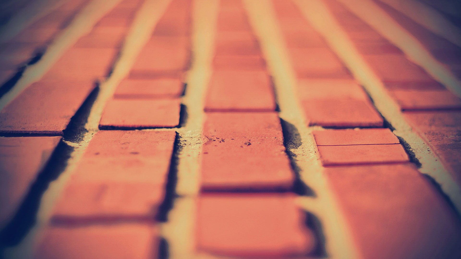 小清新,清新淡雅,儿童桌面专用