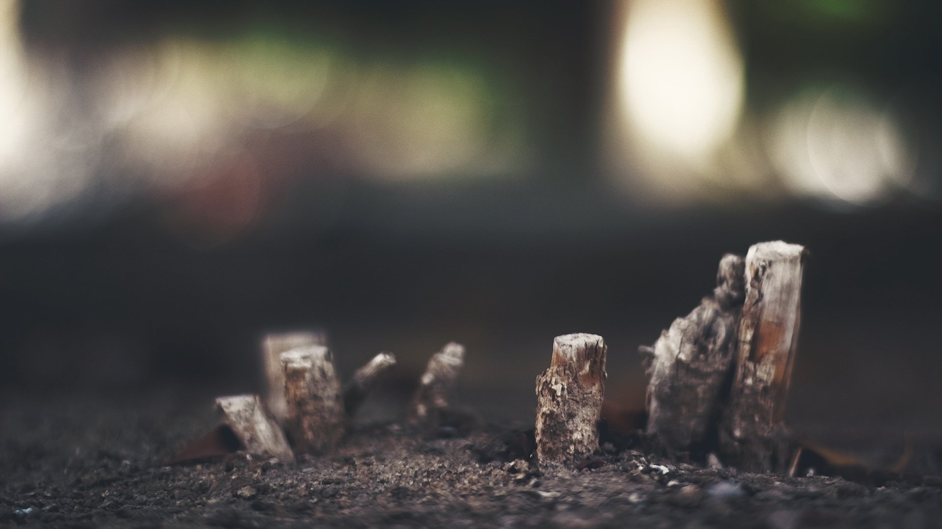 小清新,静物写真