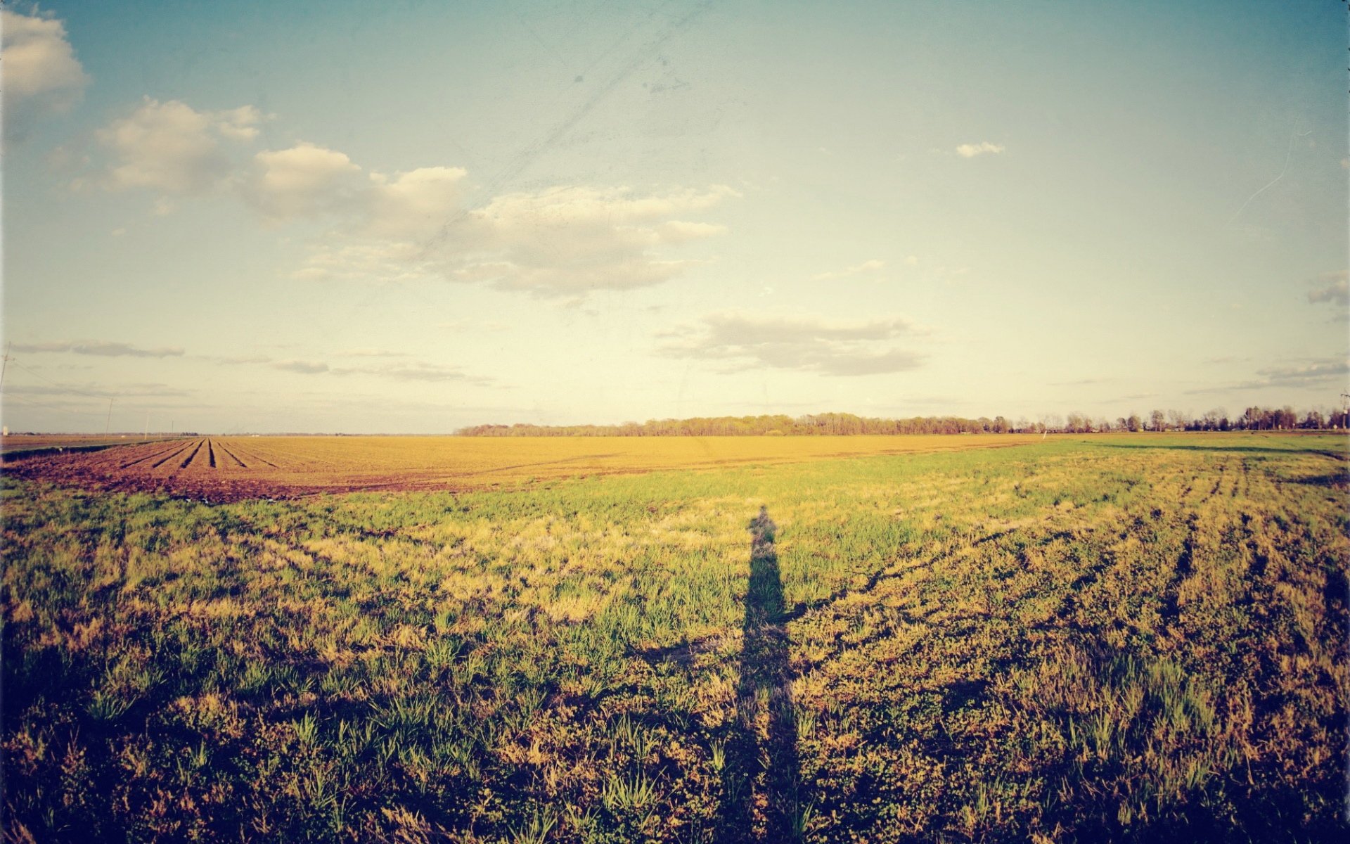 小清新,清新淡雅,儿童桌面专用