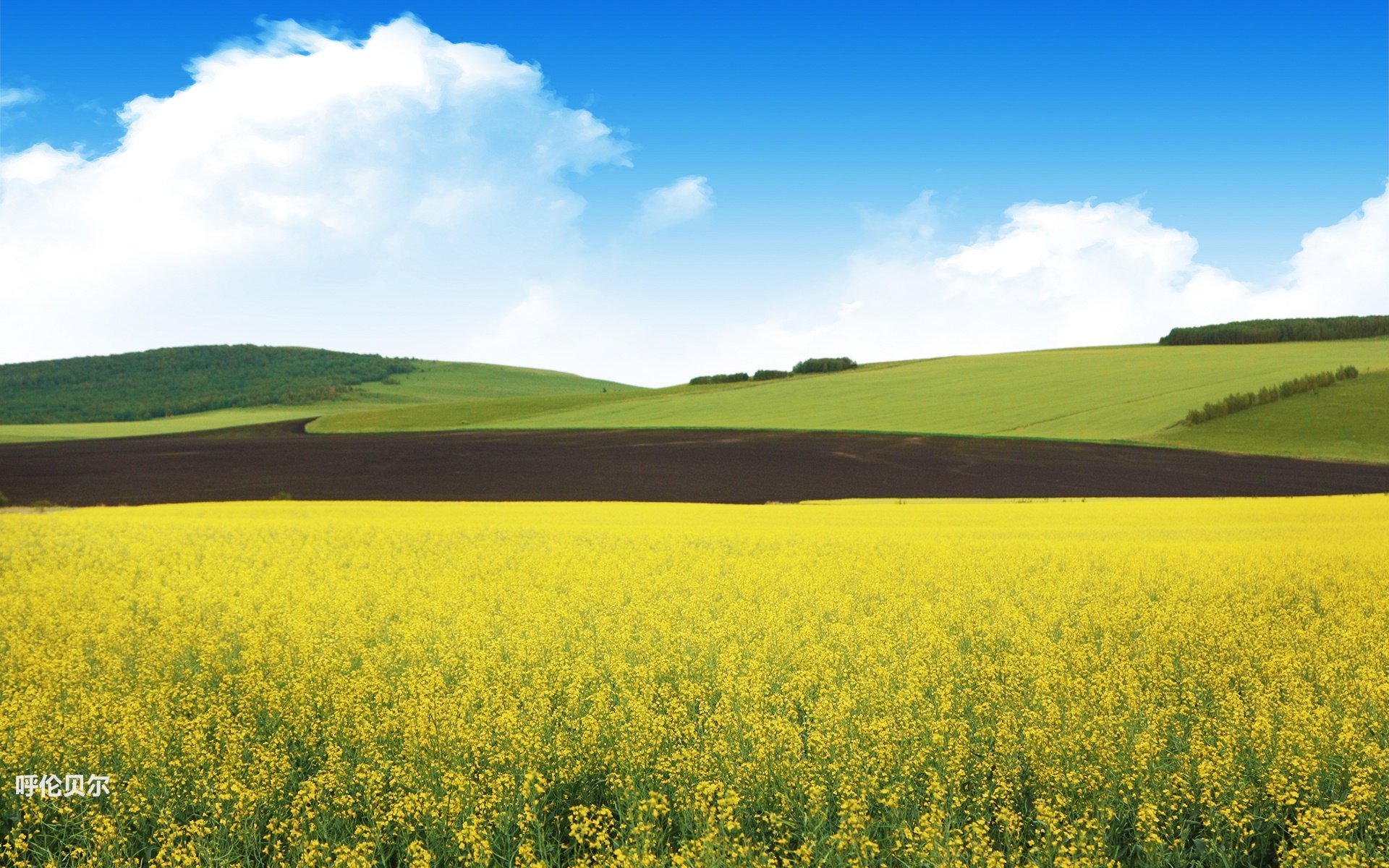 风景,途牛旅游,呼伦贝尔,摄影,旅游胜地,儿童桌面专用