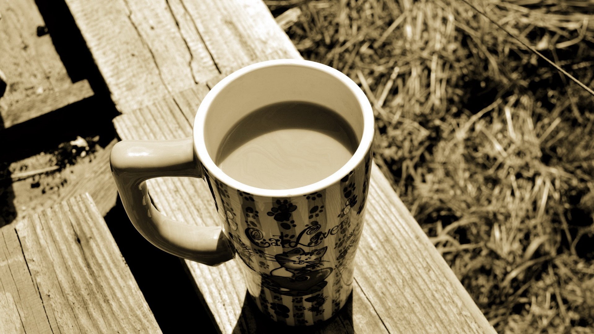 小清新,温馨一刻,儿童桌面专用