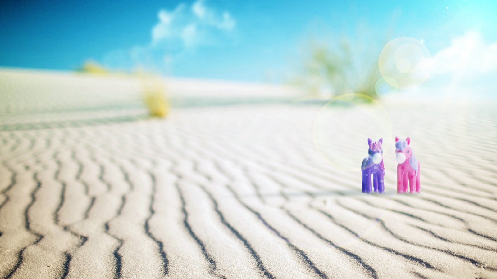 爱情美图,唯美温馨,浪漫,沙滩