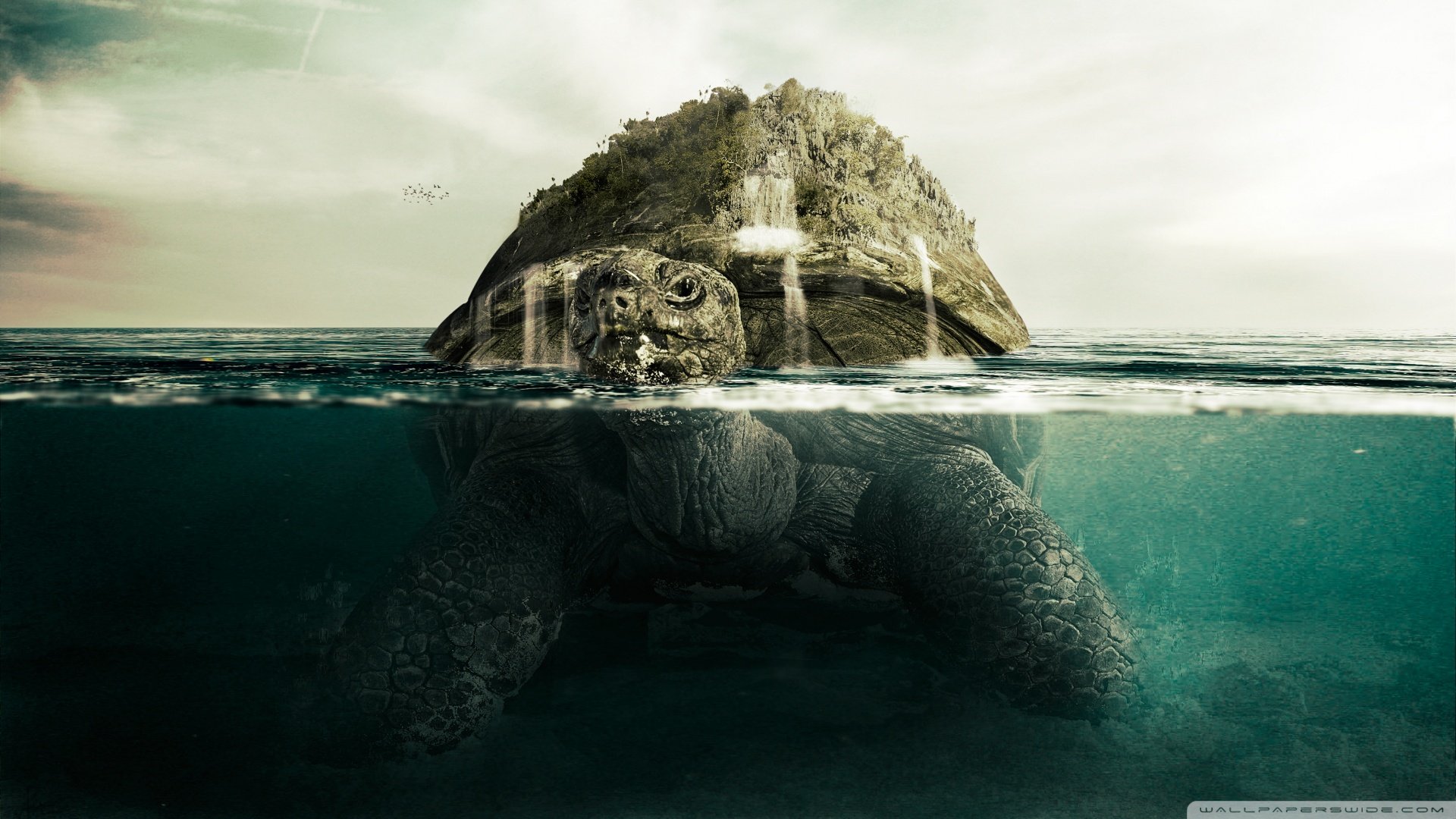 创意,海龟,儿童桌面专用