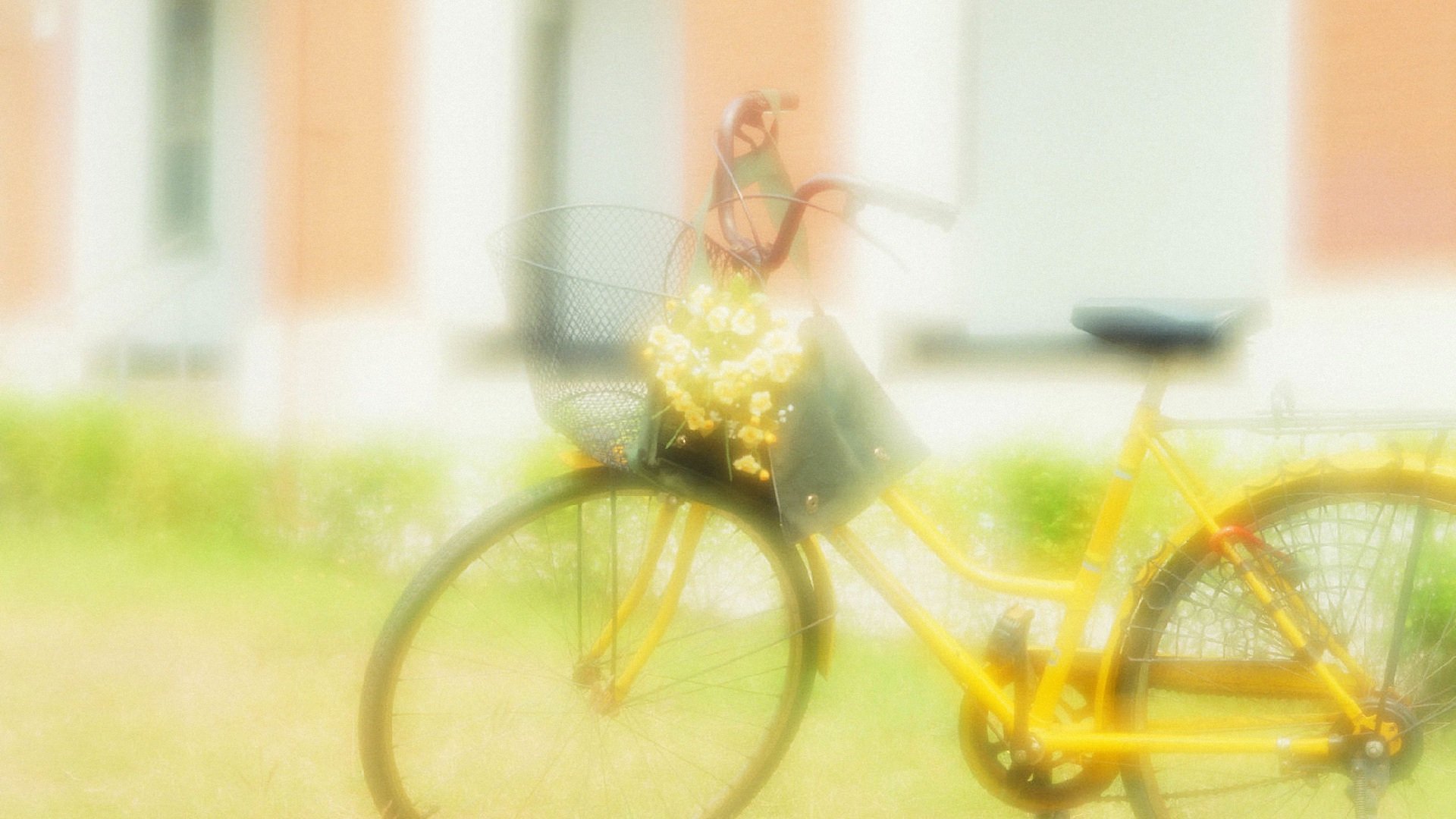 小清新,静物写真,自行车,儿童桌面专用