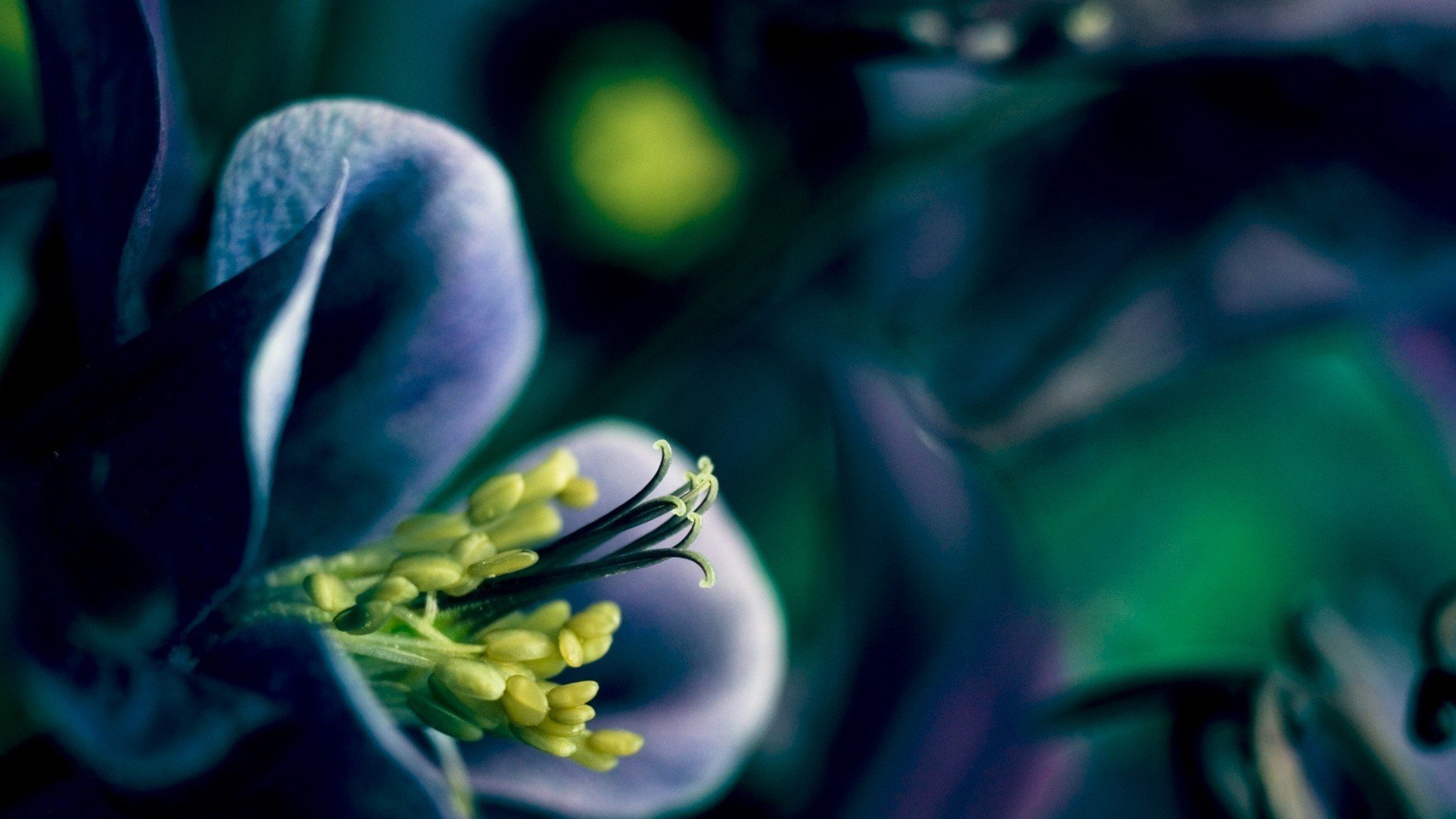 小清新,清新淡雅,儿童桌面专用