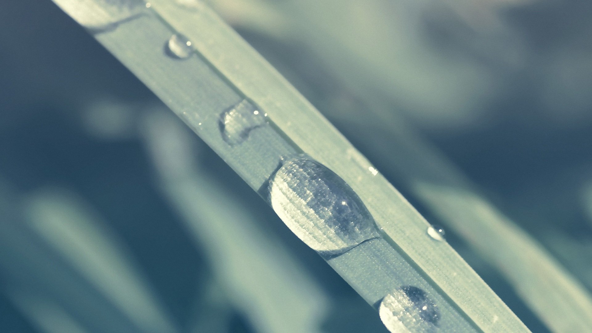 小清新,护眼壁纸,儿童桌面专用