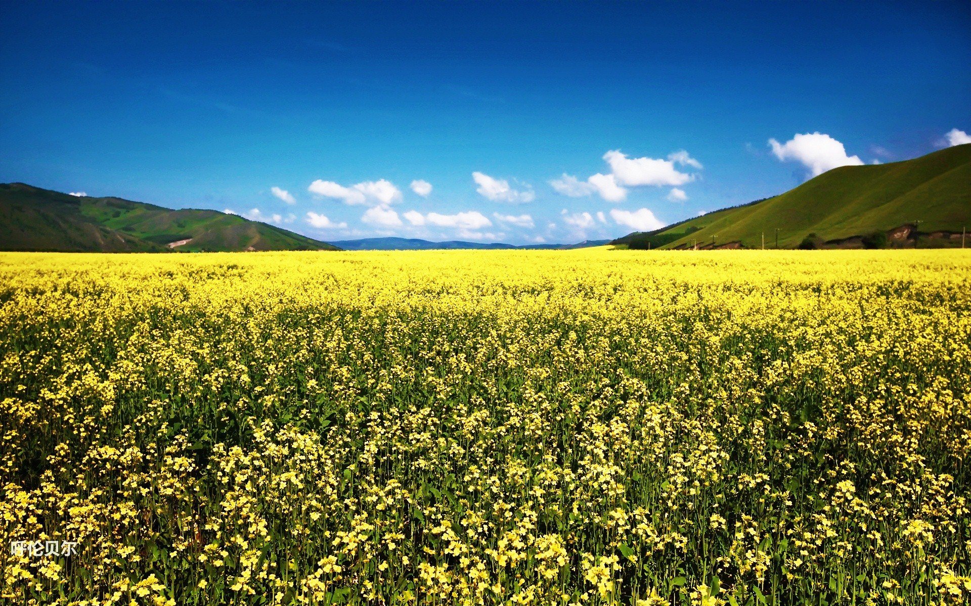 风景,途牛旅游,呼伦贝尔,摄影,旅游胜地,儿童桌面专用
