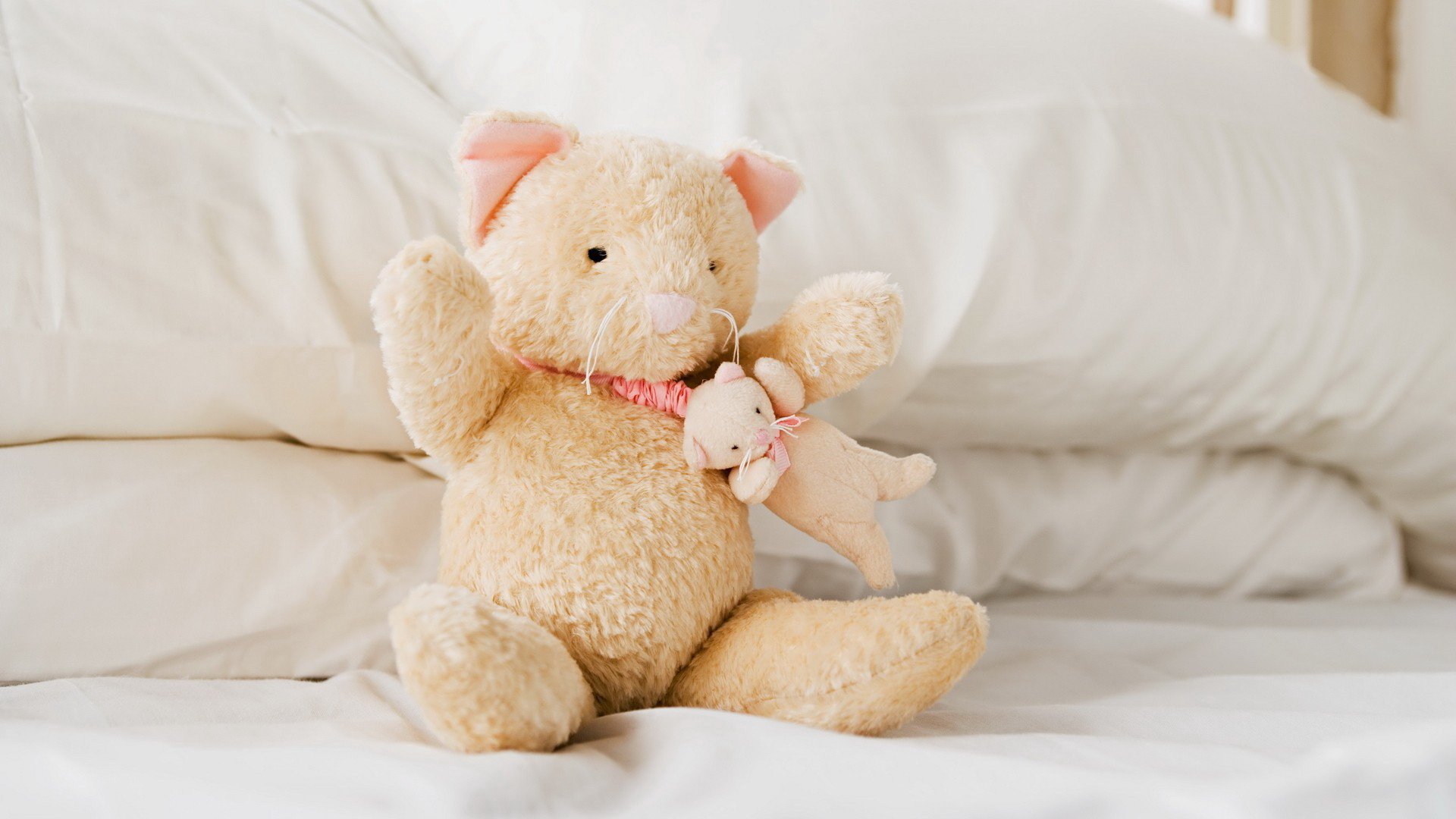 小清新,静物写真,儿童桌面专用