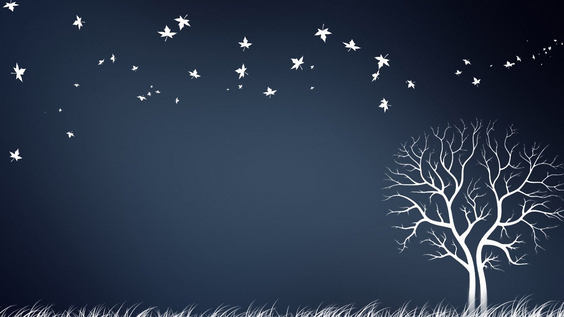 创意,设计,儿童桌面专用