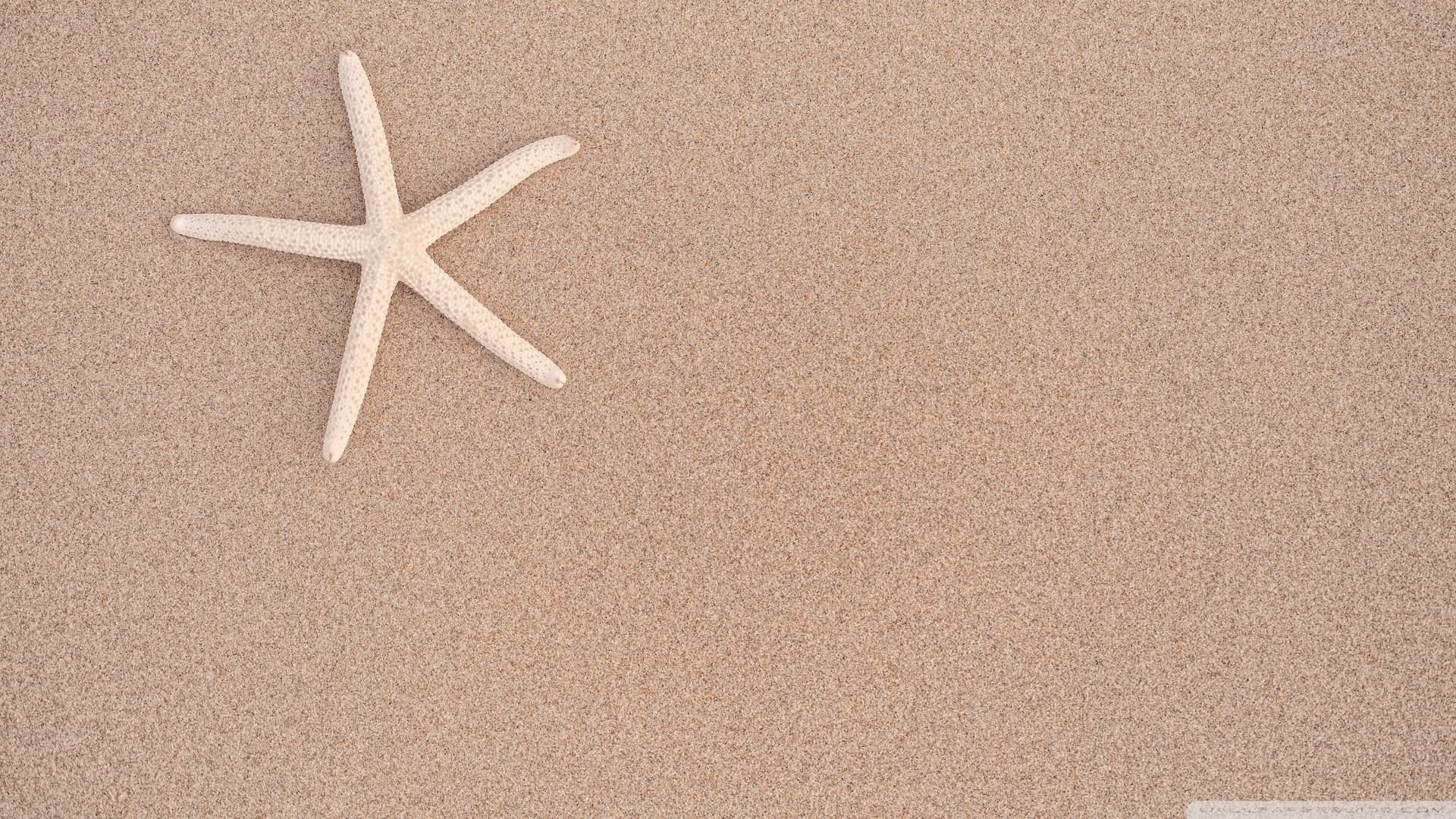 小清新,温馨一刻,儿童桌面专用