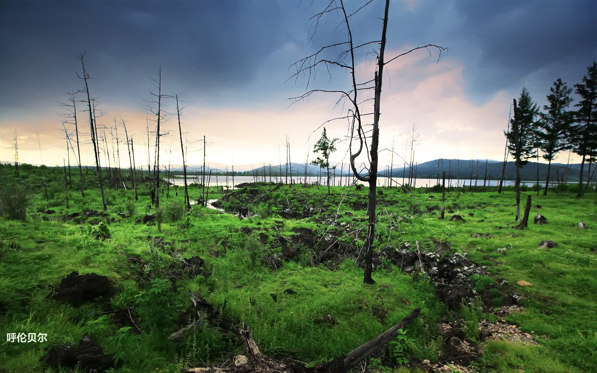 风景,途牛旅游,呼伦贝尔,摄影,旅游胜地,儿童桌面专用