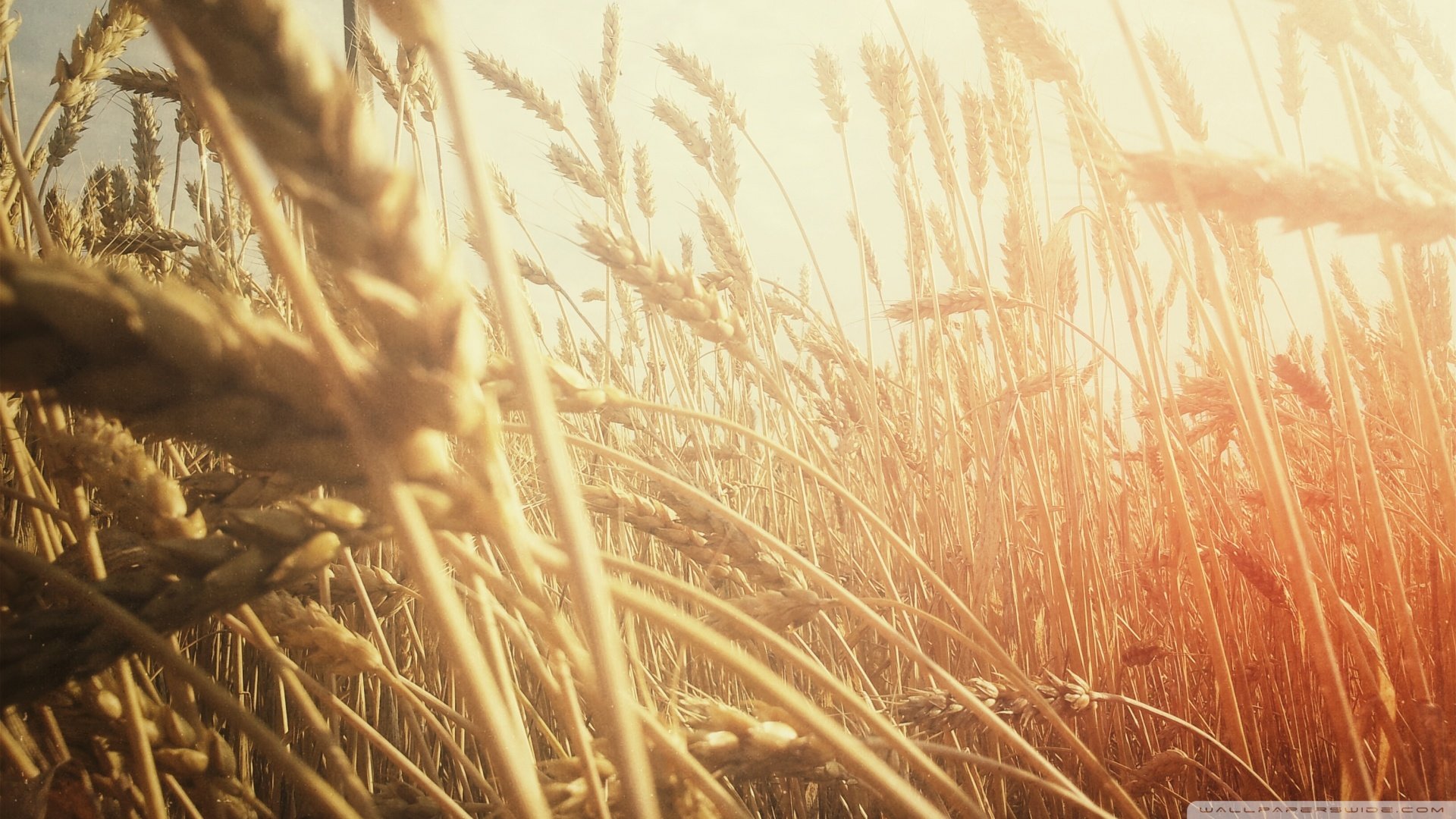 小清新,温馨一刻,儿童桌面专用