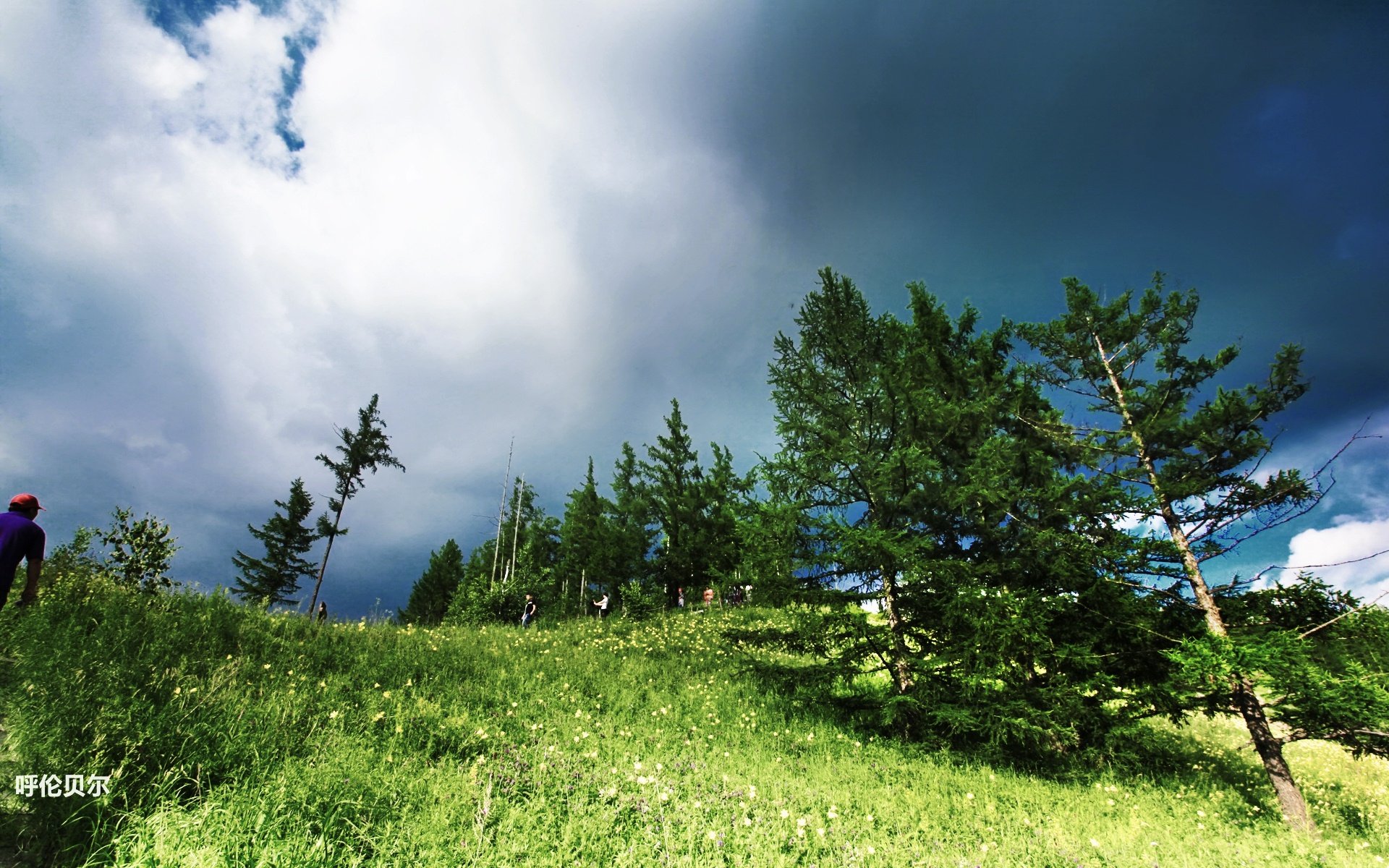 风景,途牛旅游,呼伦贝尔,摄影,旅游胜地,儿童桌面专用