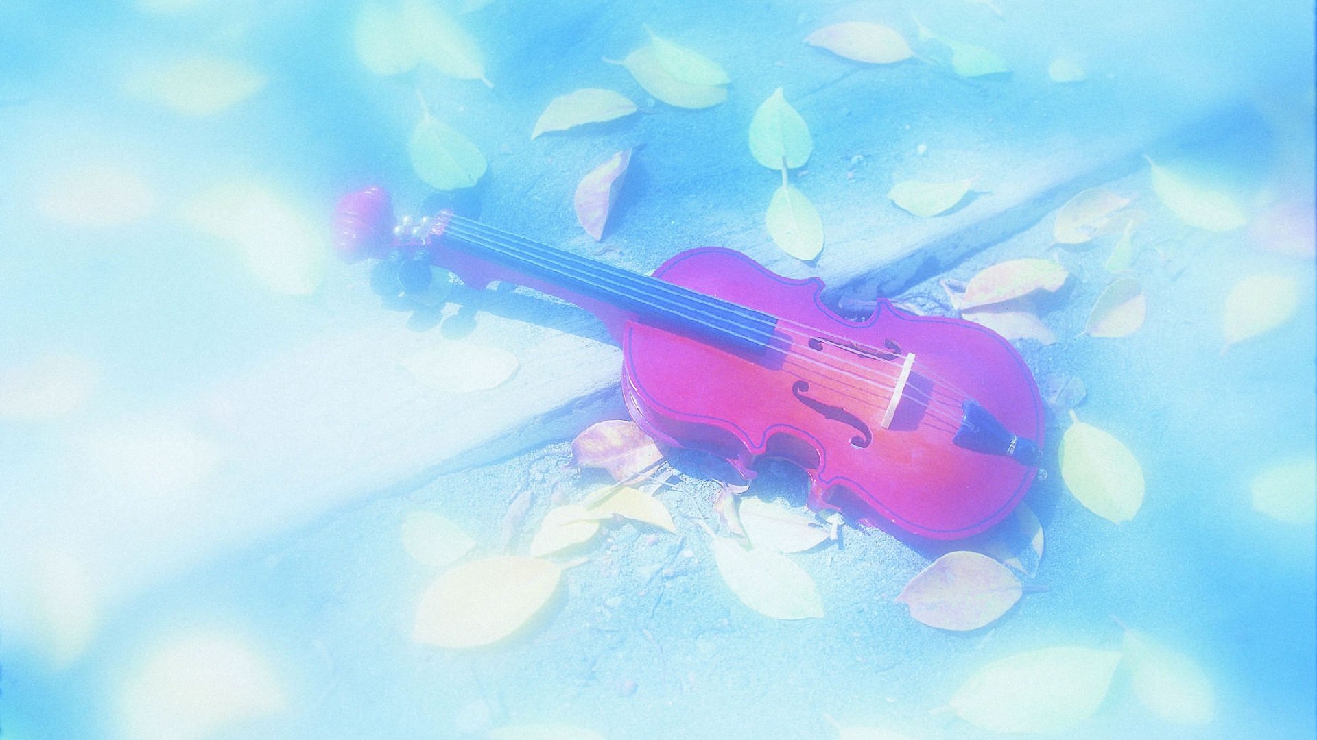 小清新,静物写真,吉他,儿童桌面专用