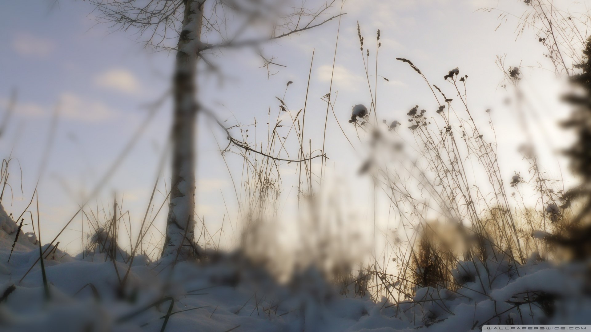 小清新,清新淡雅