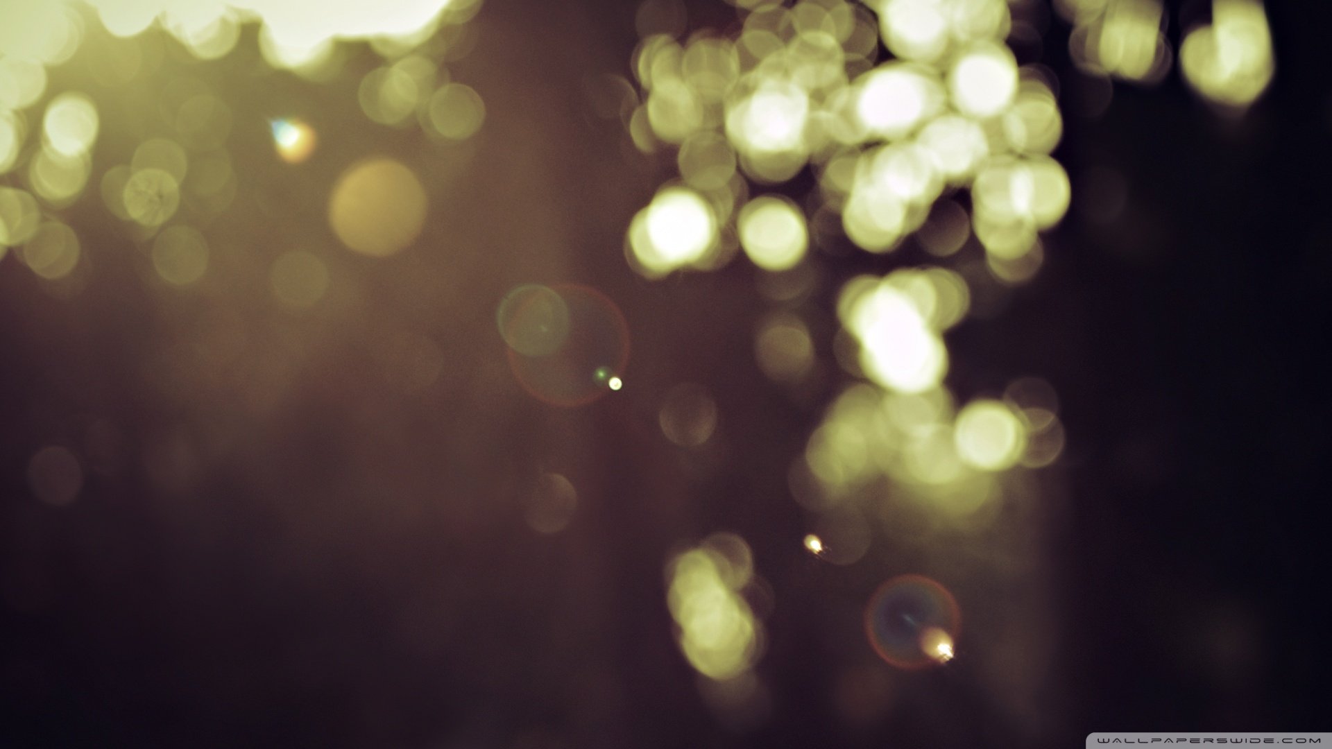 小清新,温馨一刻