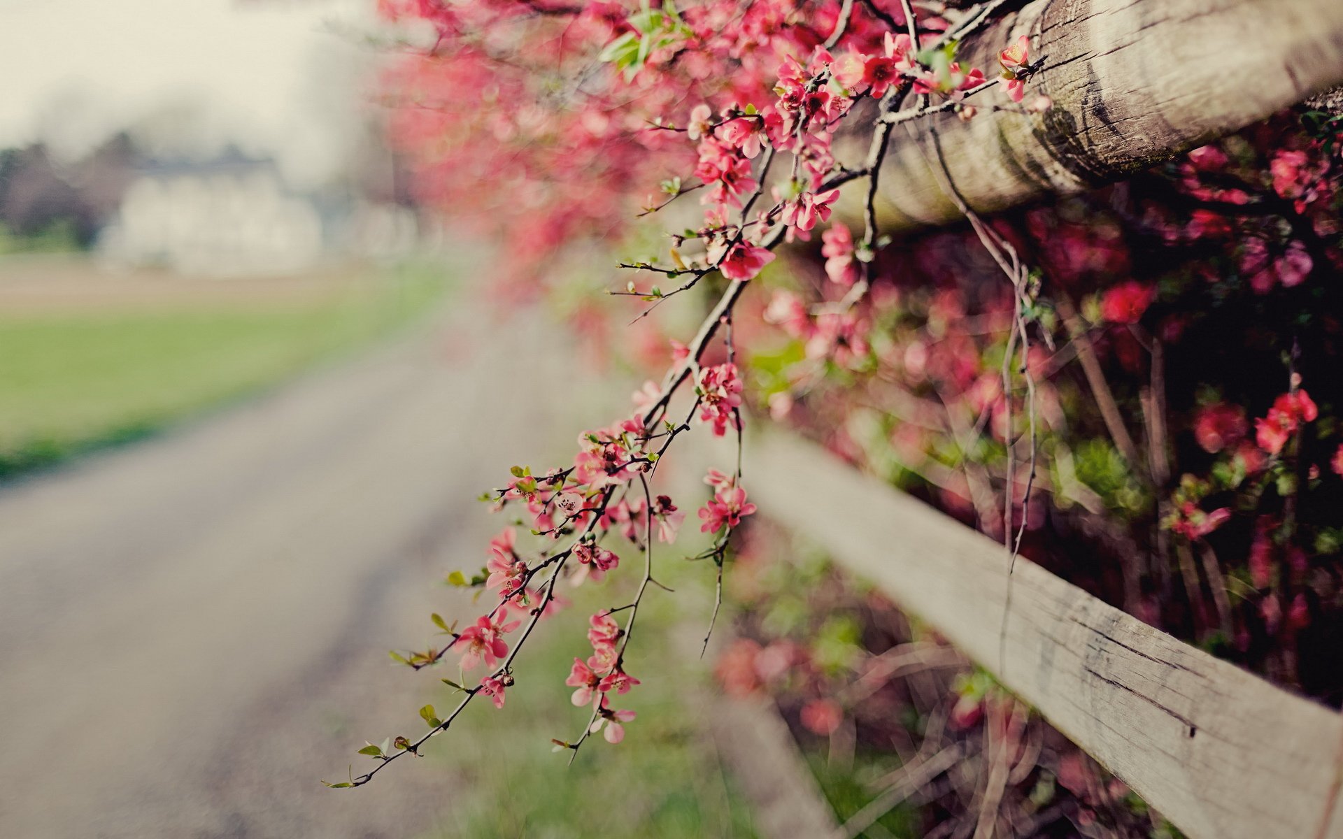 小清新,温馨一刻,儿童桌面专用