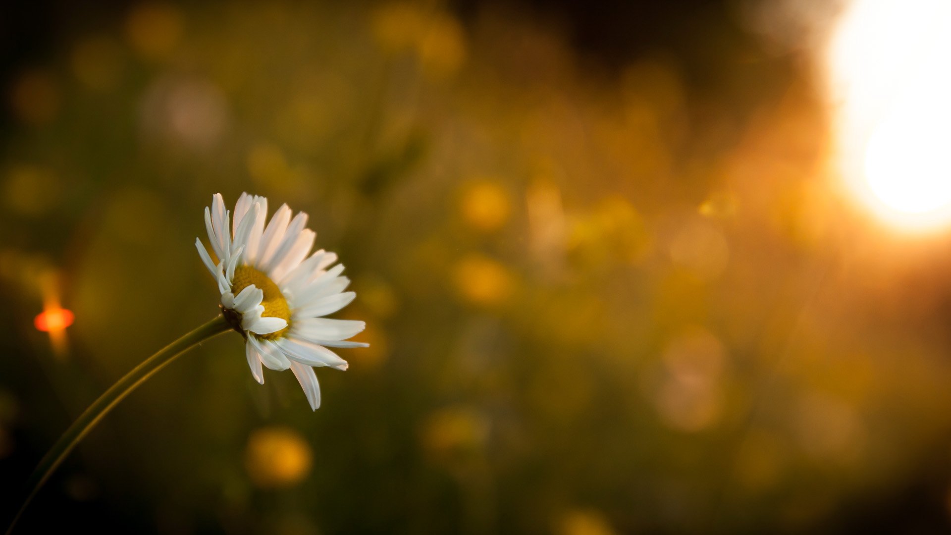 小清新,清新淡雅,儿童桌面专用
