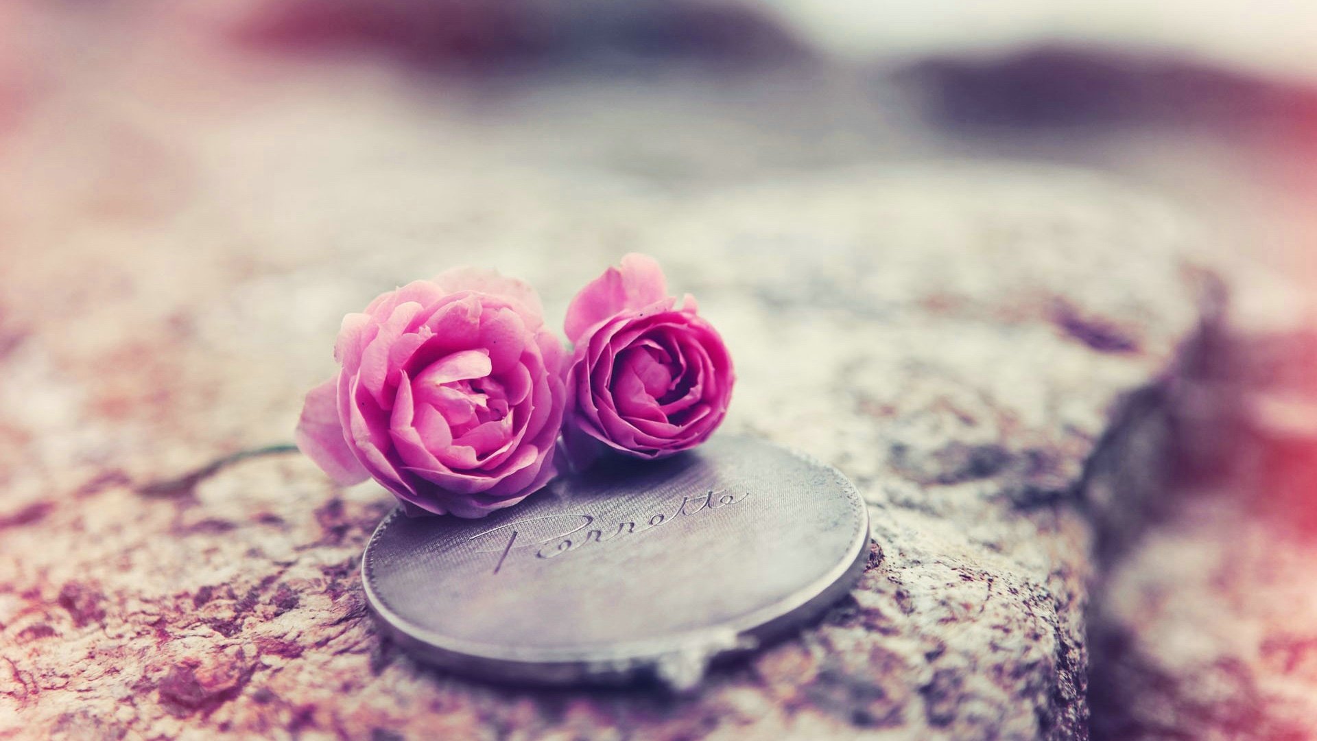 爱情美图,唯美温馨