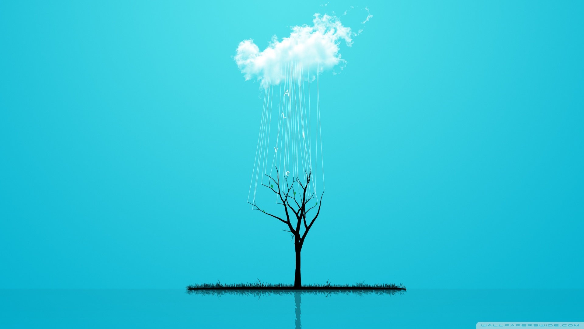 创意,简约,儿童桌面专用